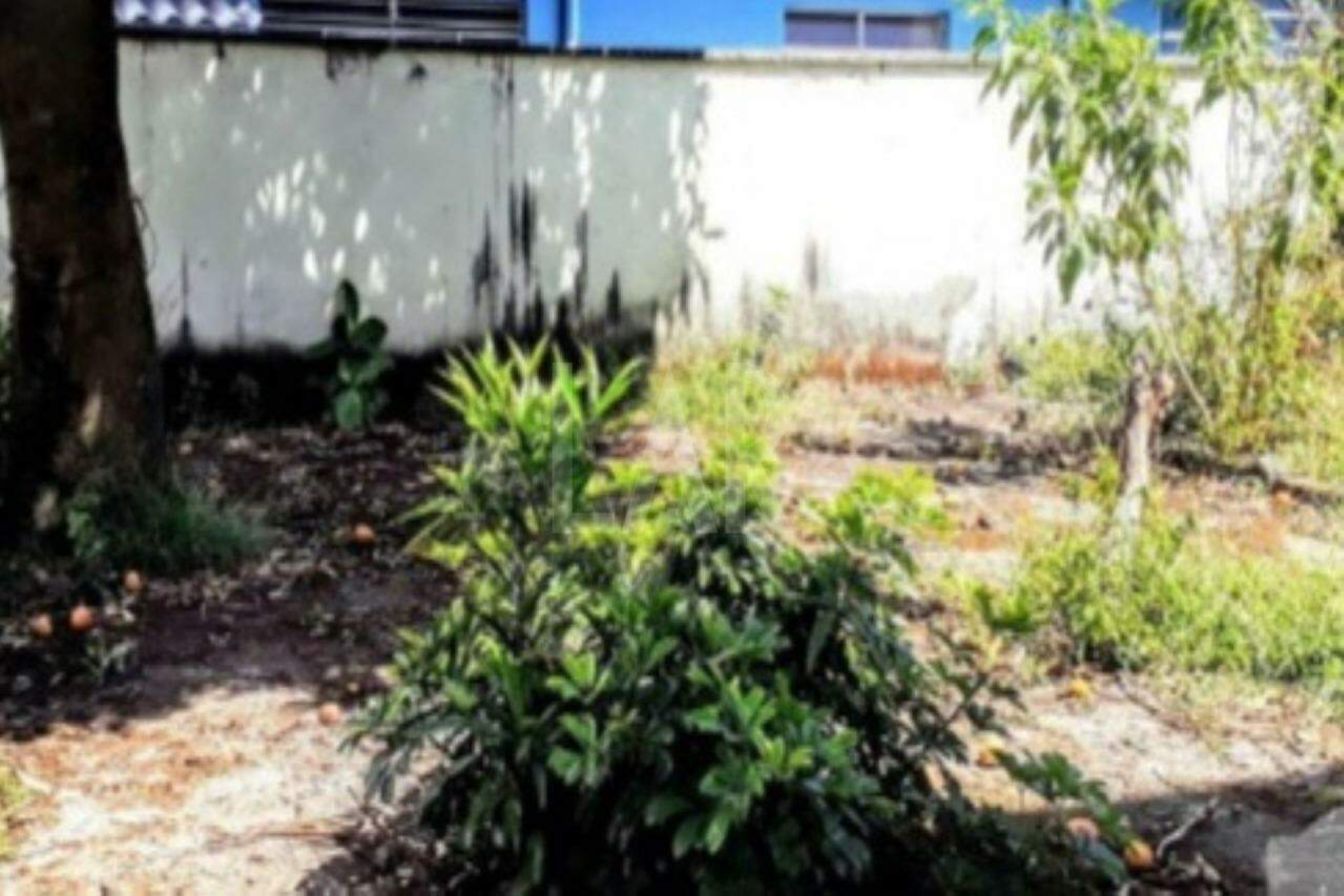 Lote - Terreno à venda, Sagrada Família, Belo Horizonte - MG