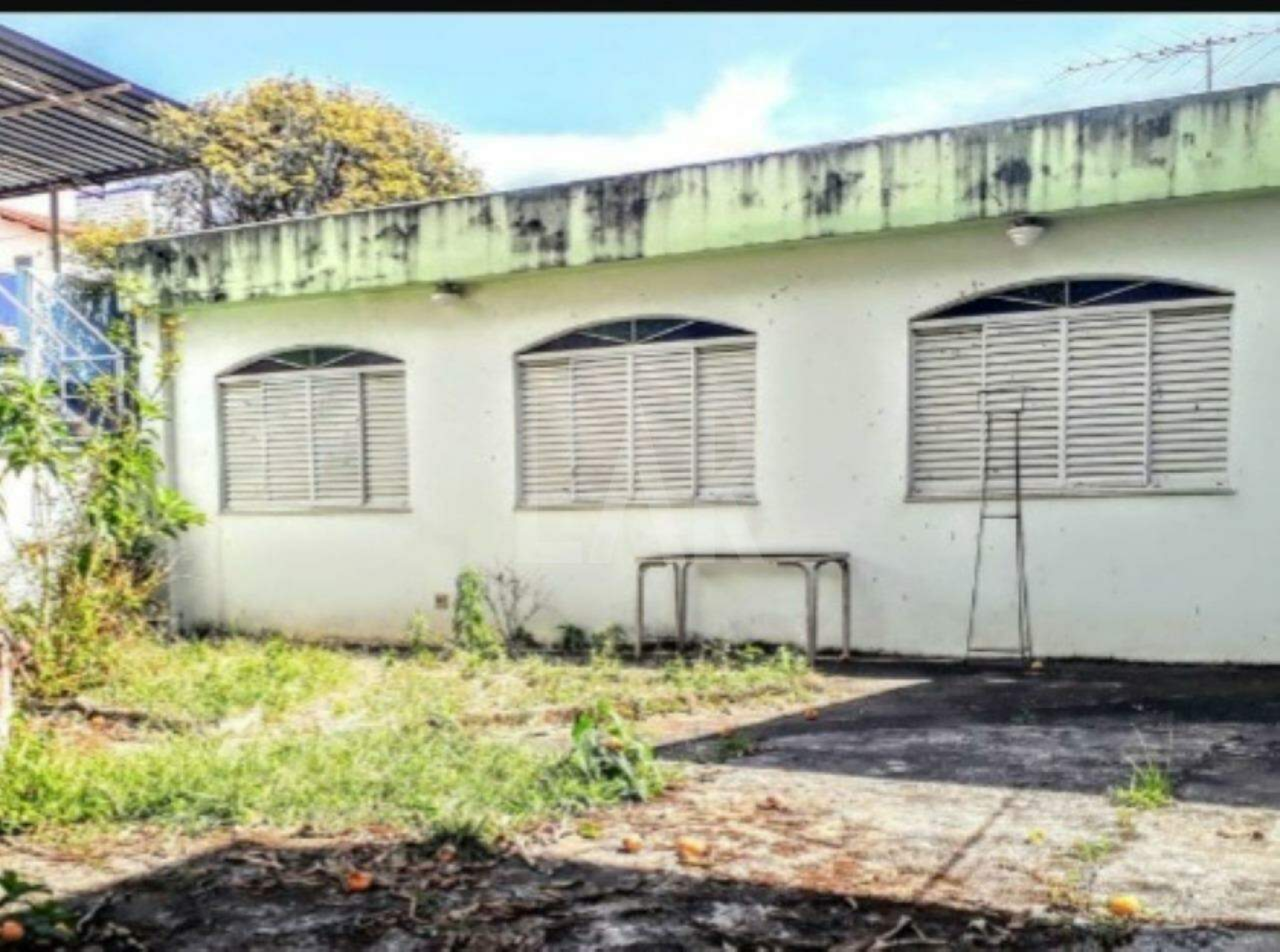 Lote - Terreno à venda, Sagrada Família, Belo Horizonte - MG