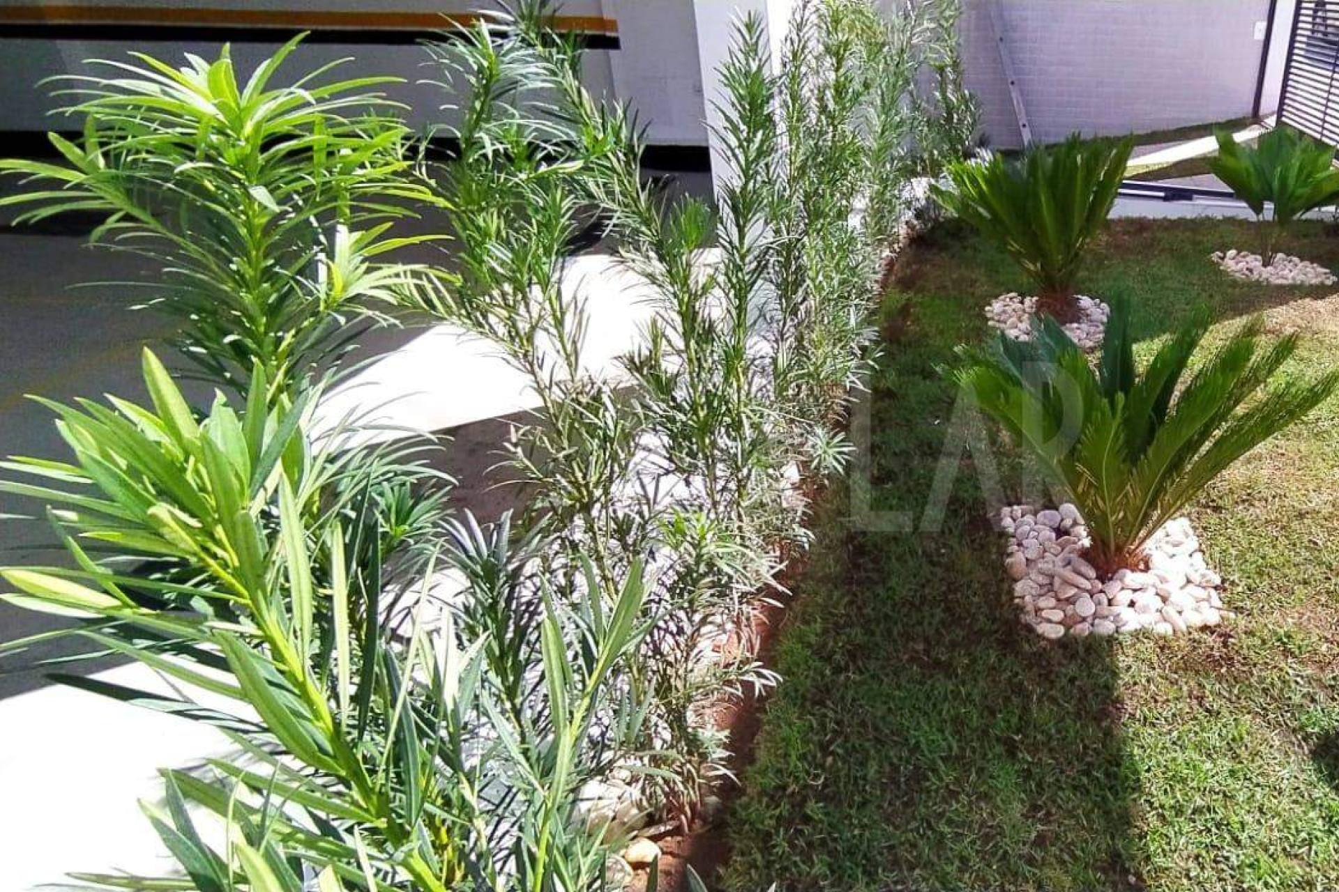 Residencial Flores - Nova Suíssa - Belo Horizonte, MG