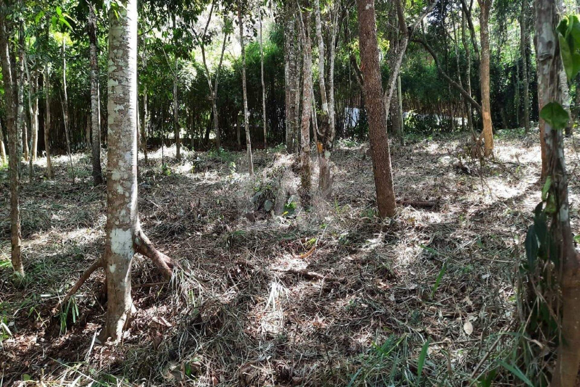 Lote em Condomínio à venda, Estância Serrana, Nova Lima - MG