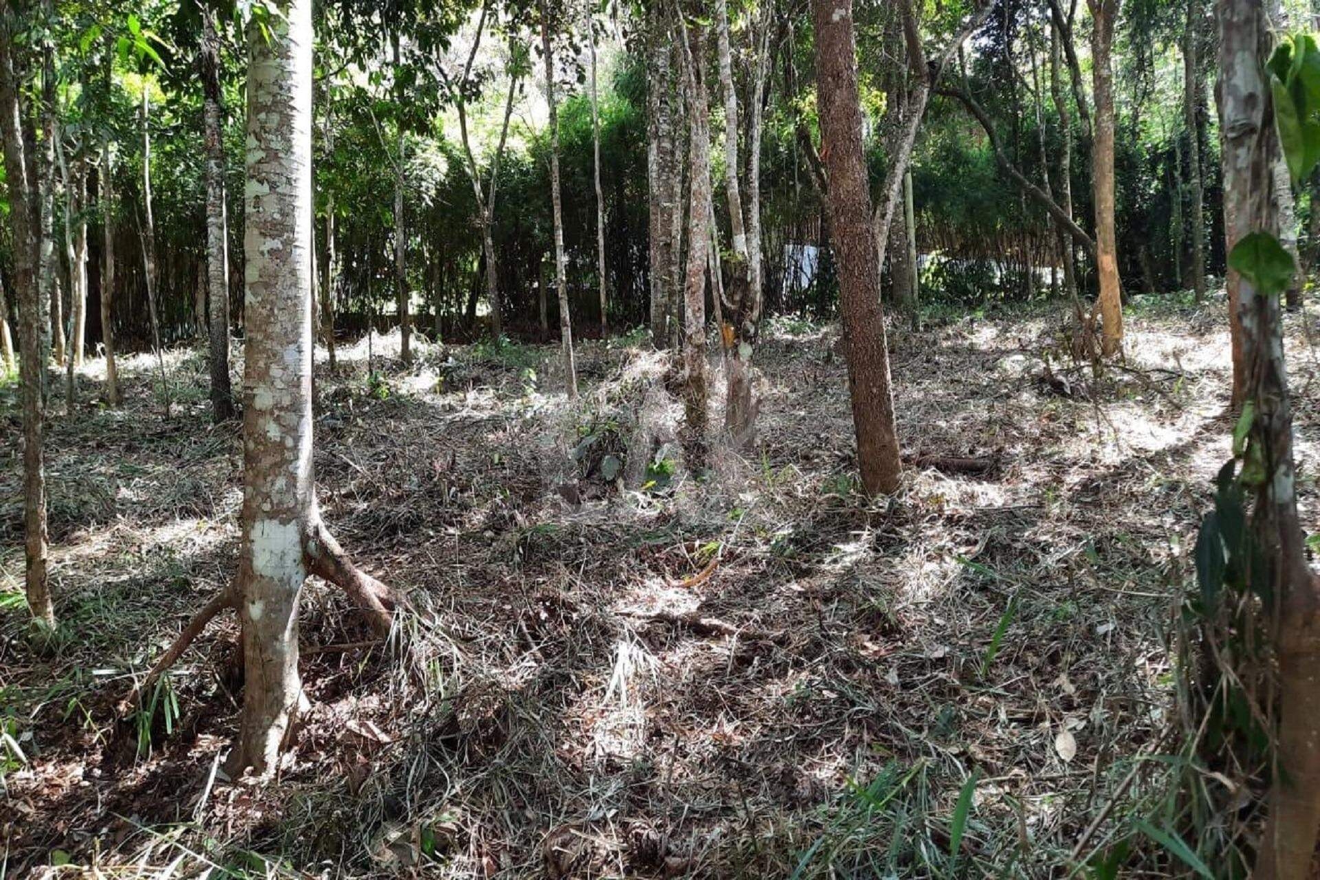Lote em Condomínio à venda, Estância Serrana, Nova Lima - MG