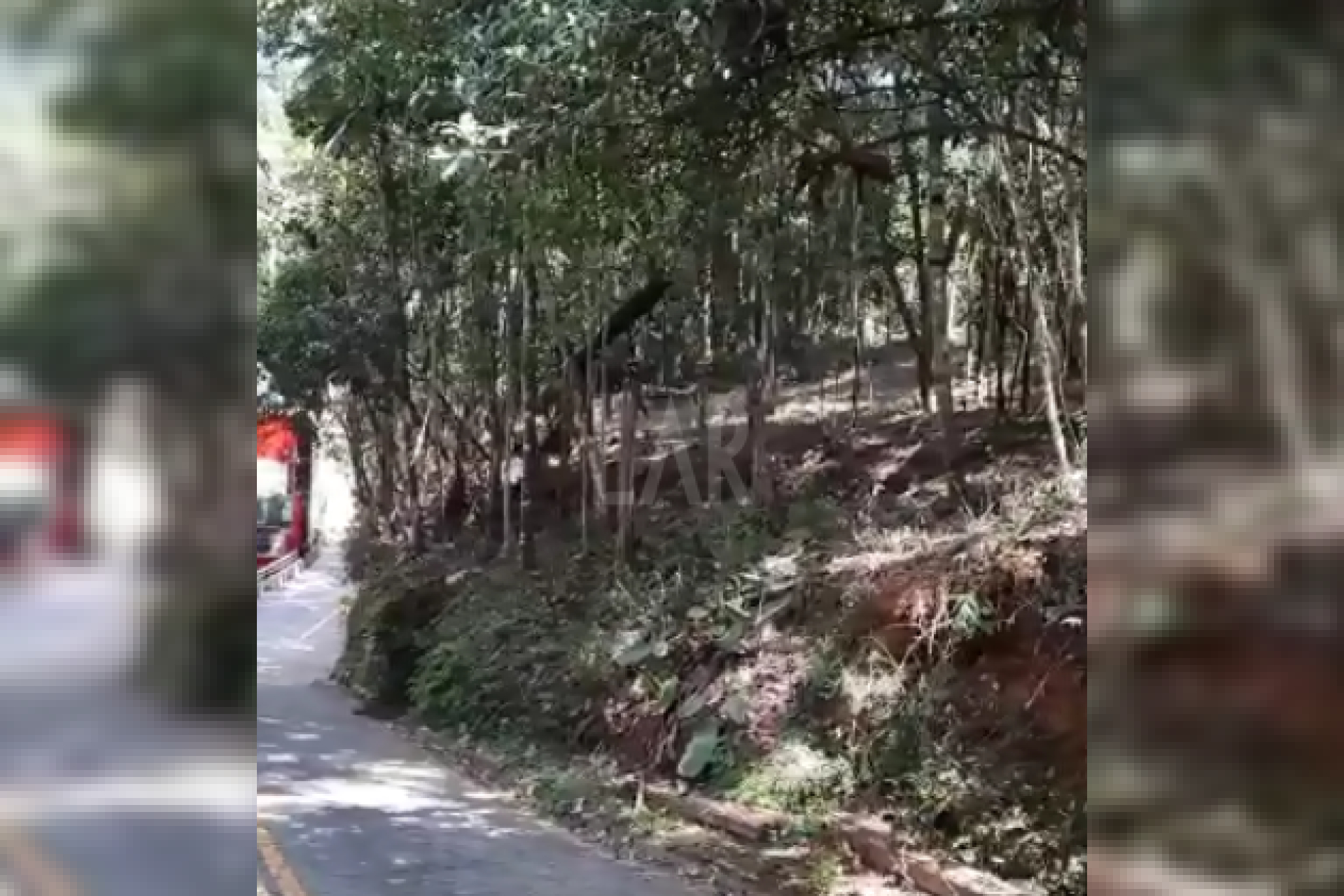 Lote em Condomínio à venda, Estância Serrana, Nova Lima - MG