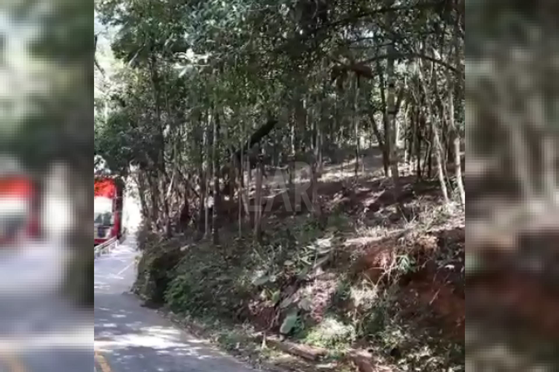 Lote em Condomínio à venda, Estância Serrana, Nova Lima - MG
