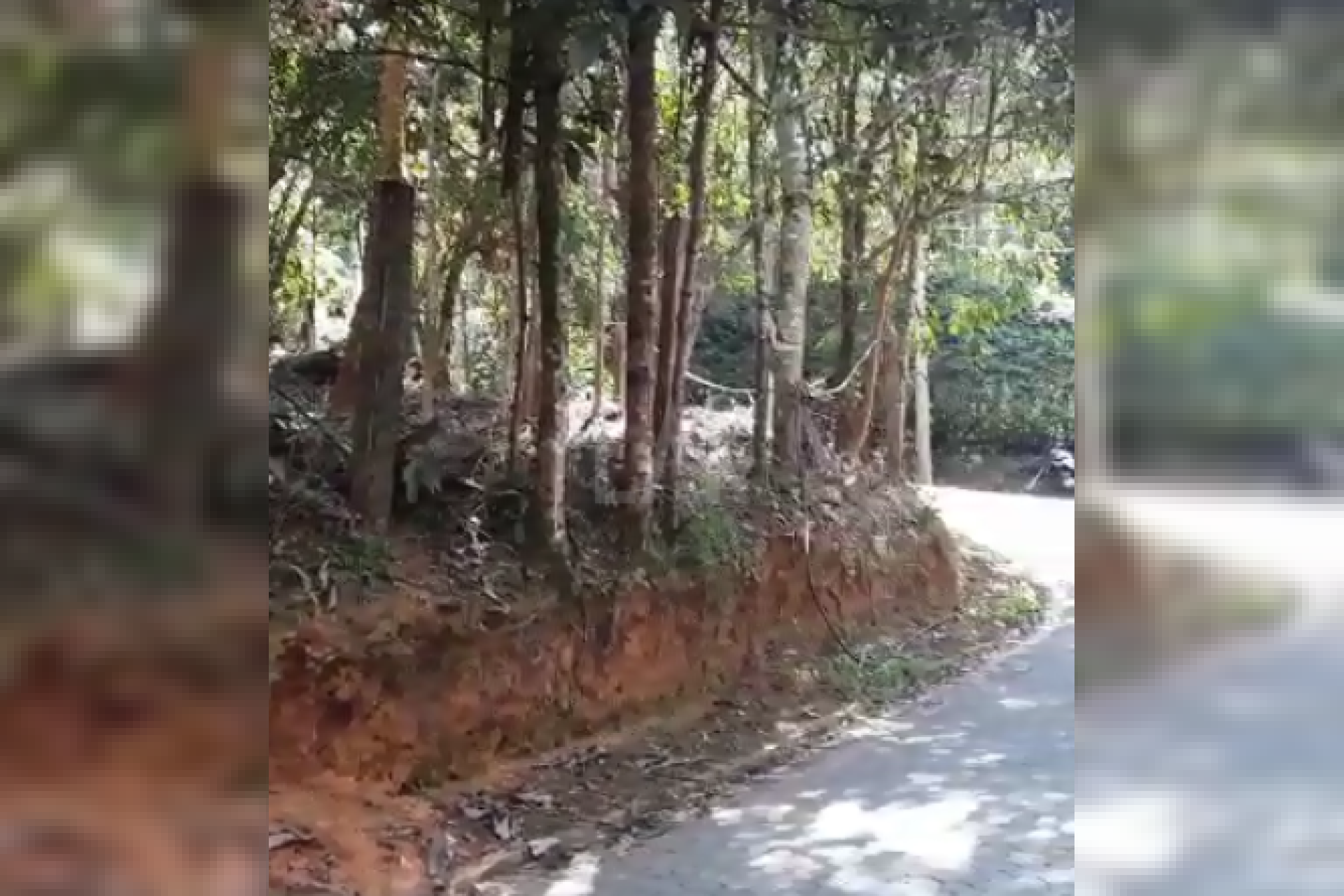 Lote em Condomínio à venda, Estância Serrana, Nova Lima - MG