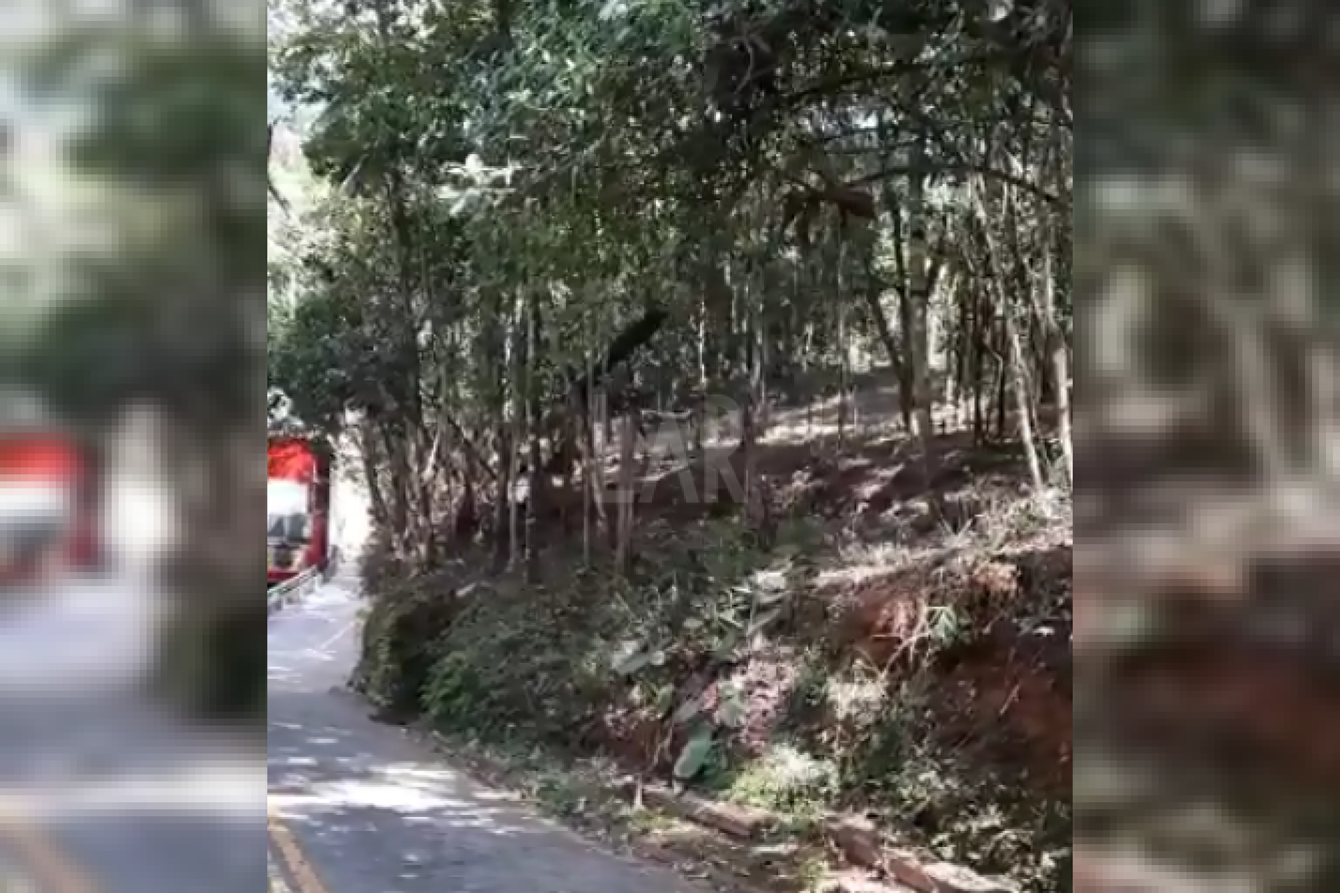 Lote em Condomínio à venda, Estância Serrana, Nova Lima - MG