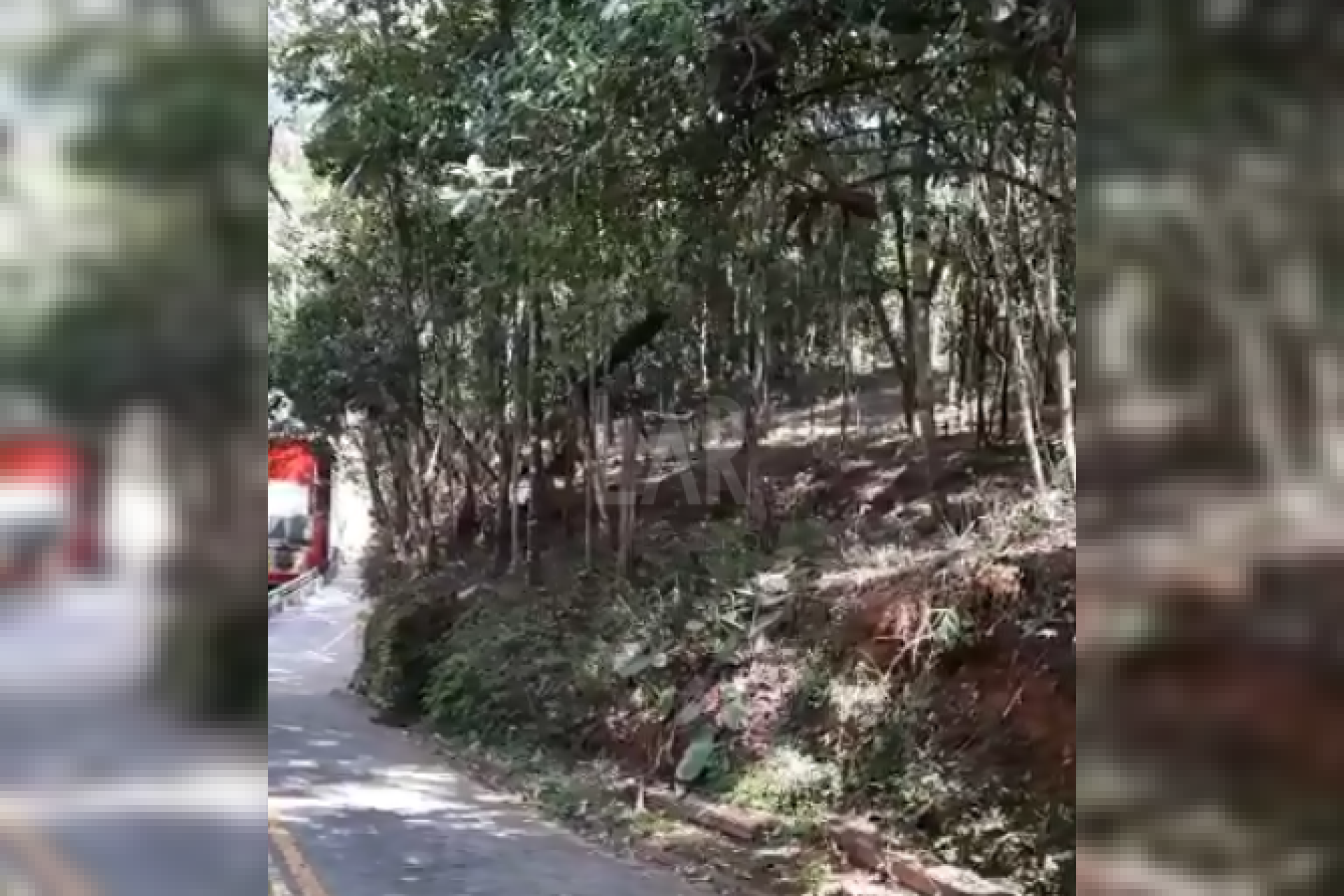 Lote em Condomínio à venda, Estância Serrana, Nova Lima - MG