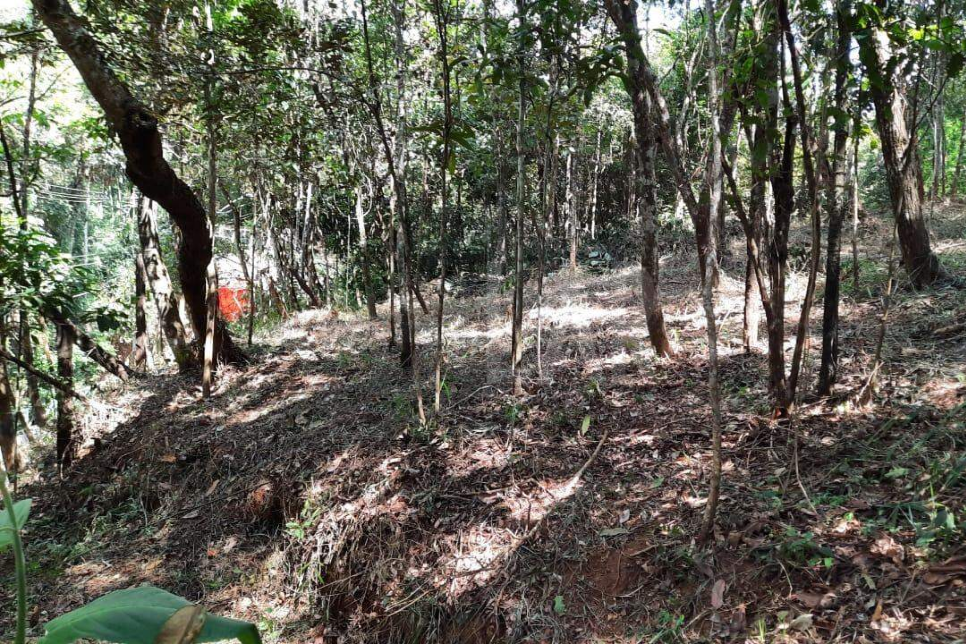Lote em Condomínio à venda, Estância Serrana, Nova Lima - MG