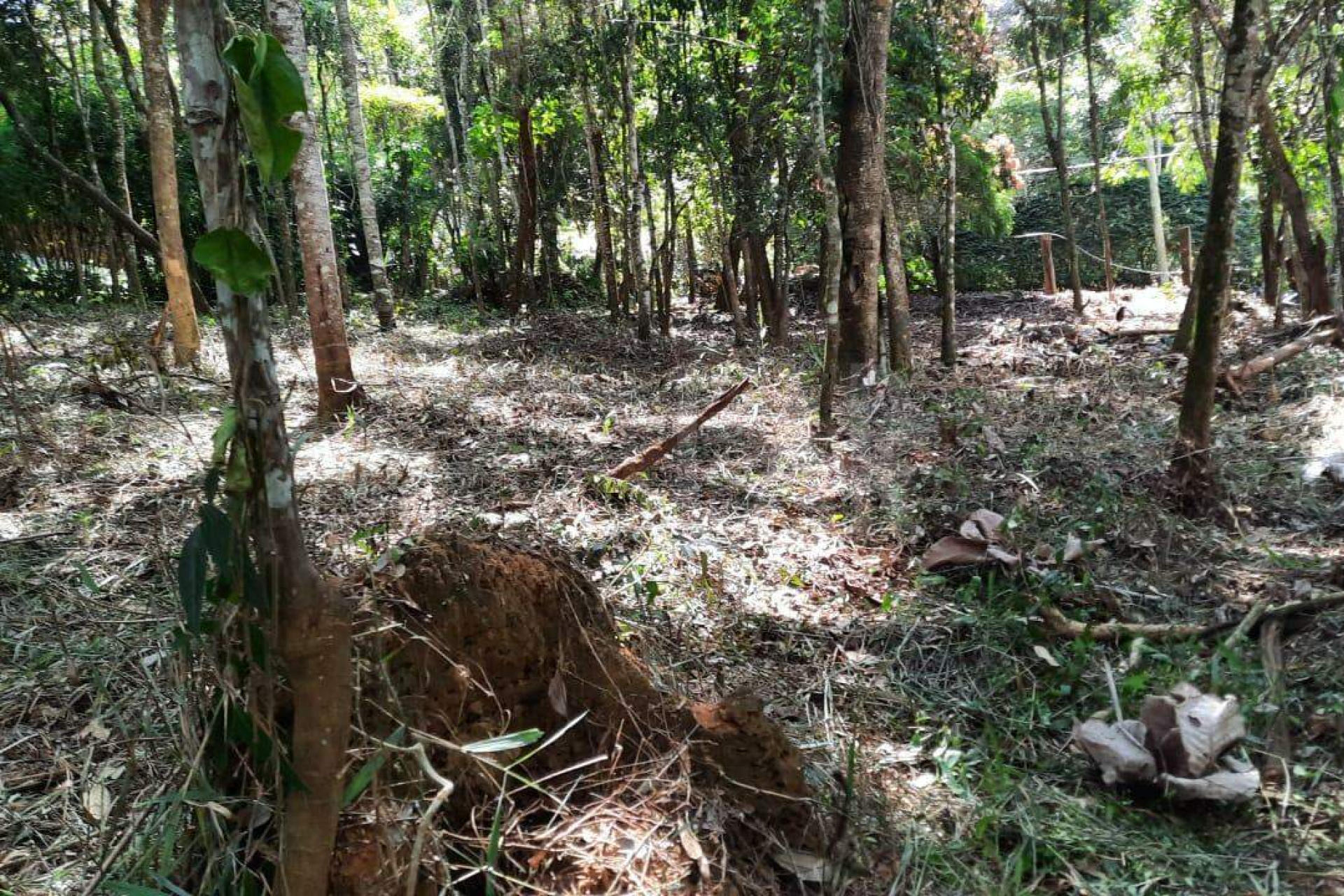 Lote em Condomínio à venda, Estância Serrana, Nova Lima - MG