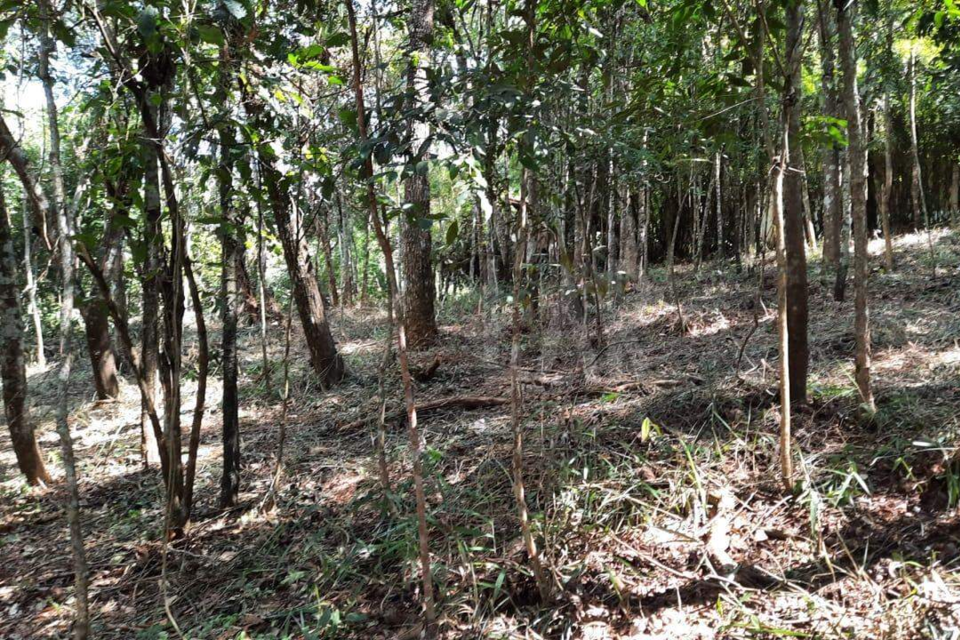 Lote em Condomínio à venda, Estância Serrana, Nova Lima - MG
