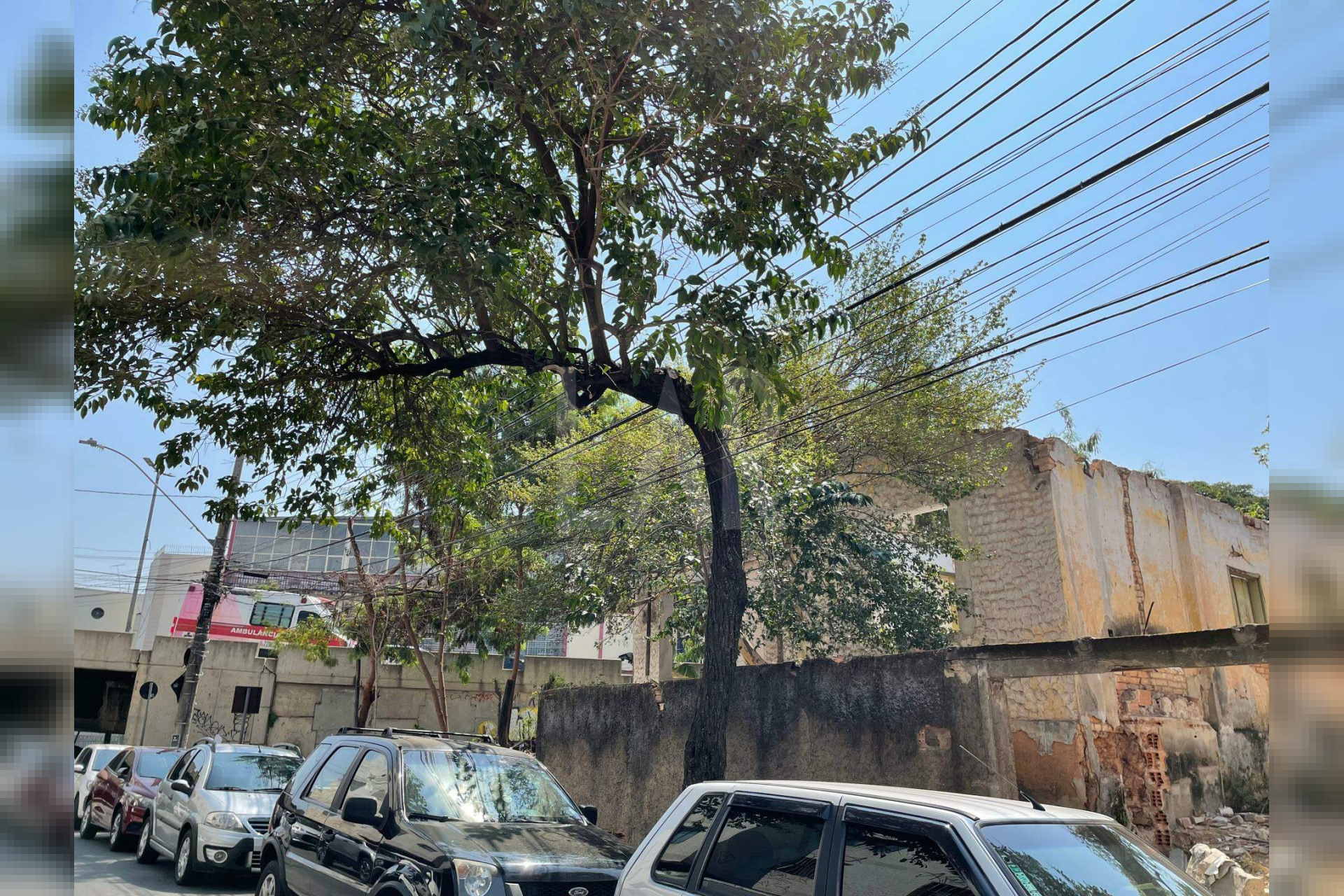 Lote - Terreno à venda, Alto Barroca, Belo Horizonte - MG