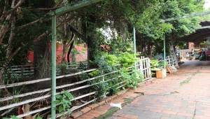 Lote - Terreno à venda, Santa Amélia, Belo Horizonte - MG