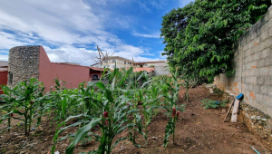 Lote - Terreno à venda, Santa Branca, Belo Horizonte - MG