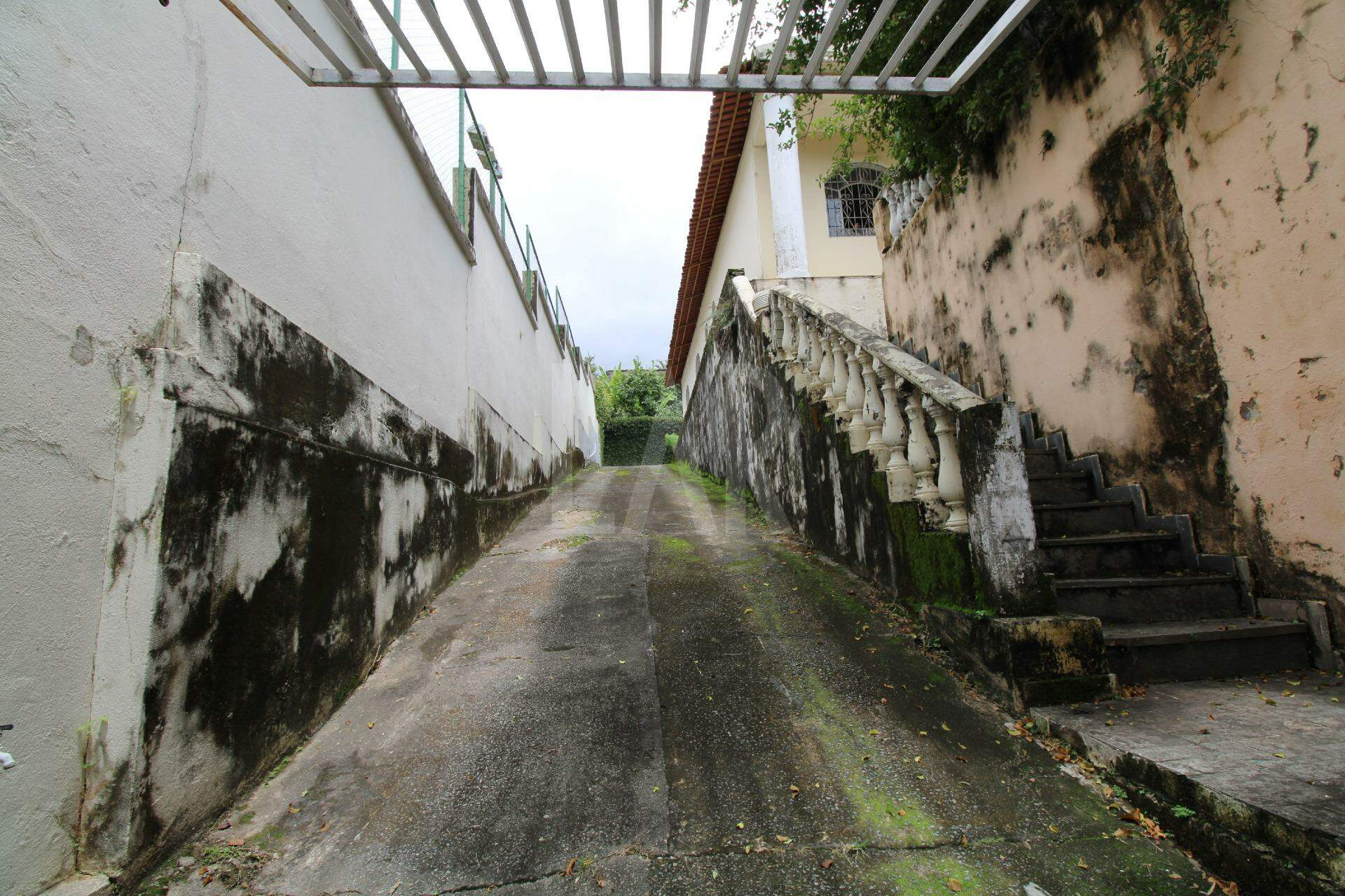 Casa de 5 quartos à venda, São Luiz, Belo Horizonte - MG