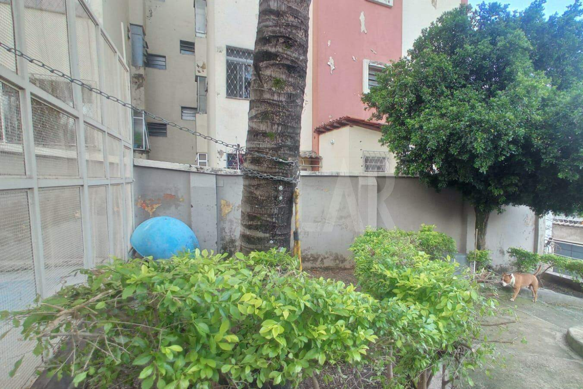 Casa de 3 quartos à venda, Santa Efigênia, Belo Horizonte - MG