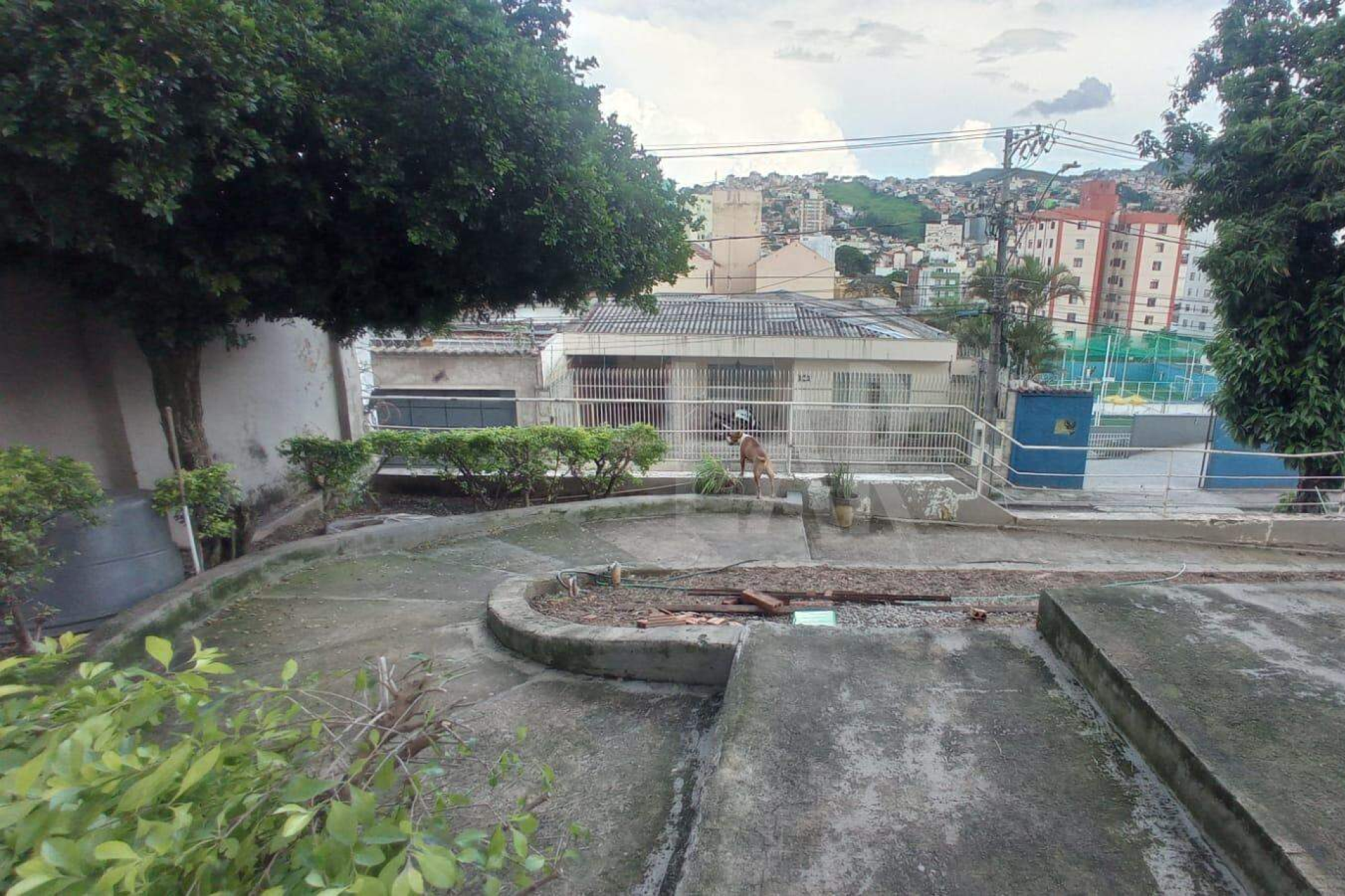 Casa de 3 quartos à venda, Santa Efigênia, Belo Horizonte - MG