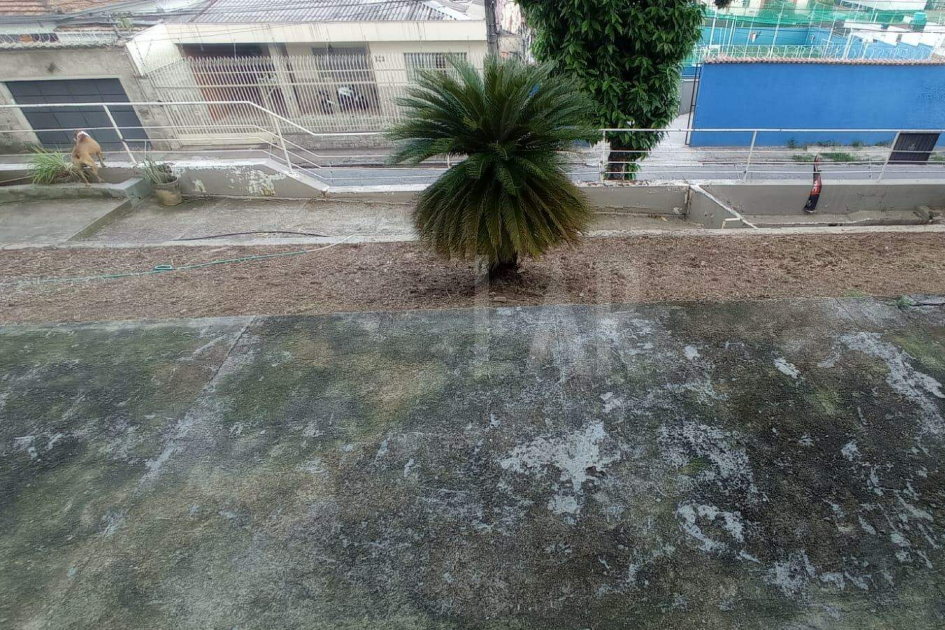 Casa de 3 quartos à venda, Santa Efigênia, Belo Horizonte - MG