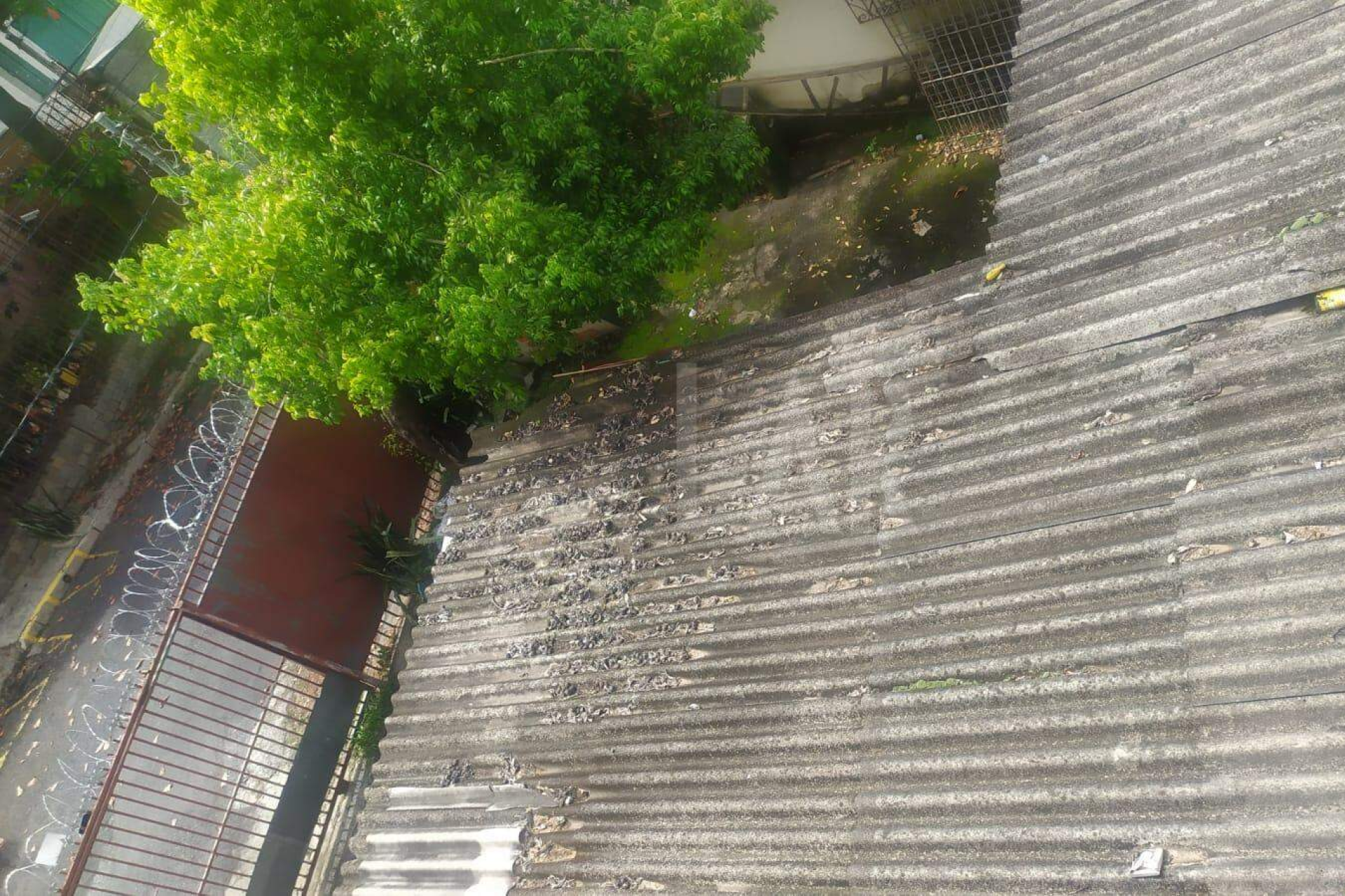Lote - Terreno à venda, Silveira, Belo Horizonte - MG