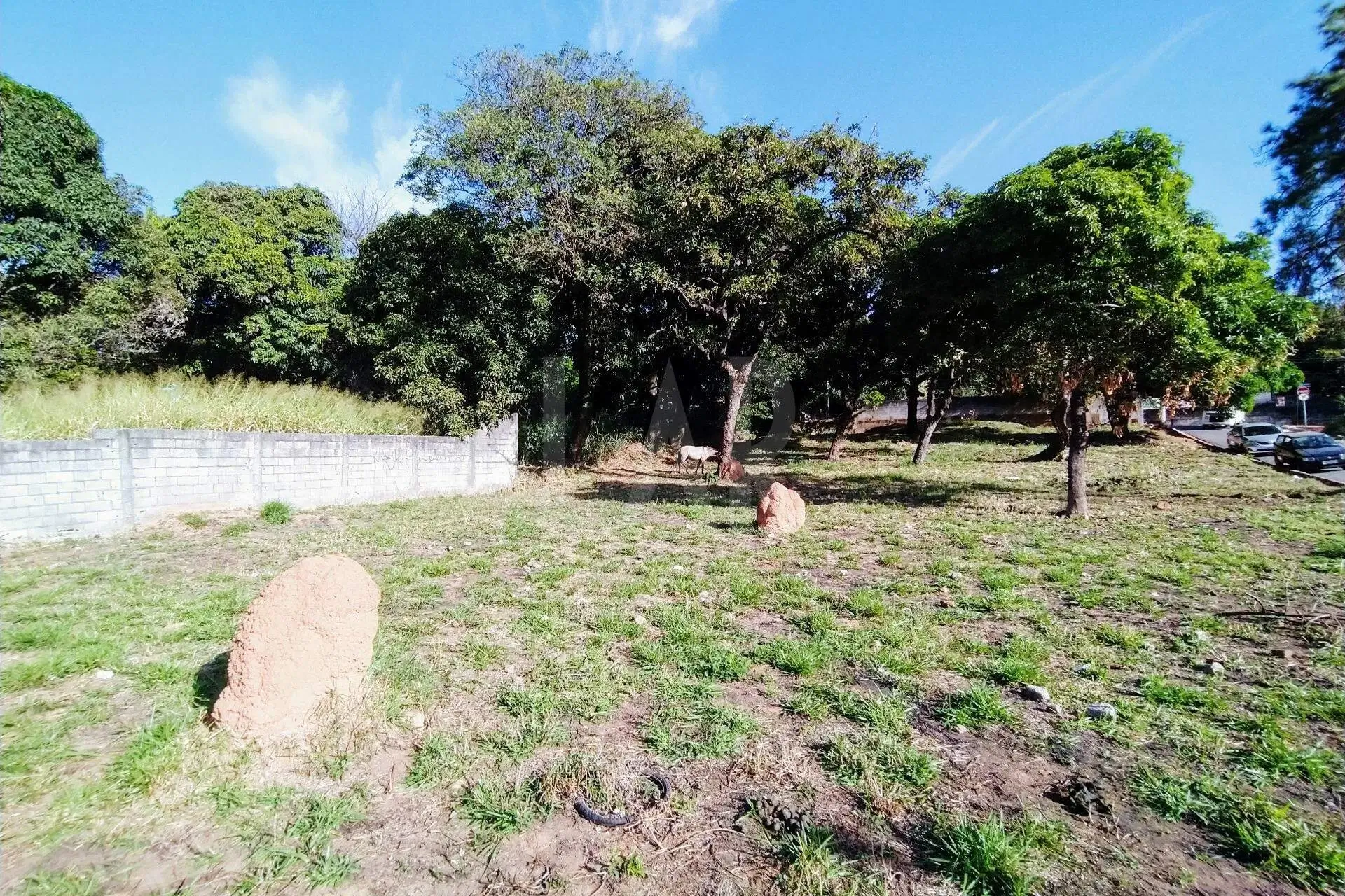 Lote - Terreno para alugar, Centro, Ibirité - MG