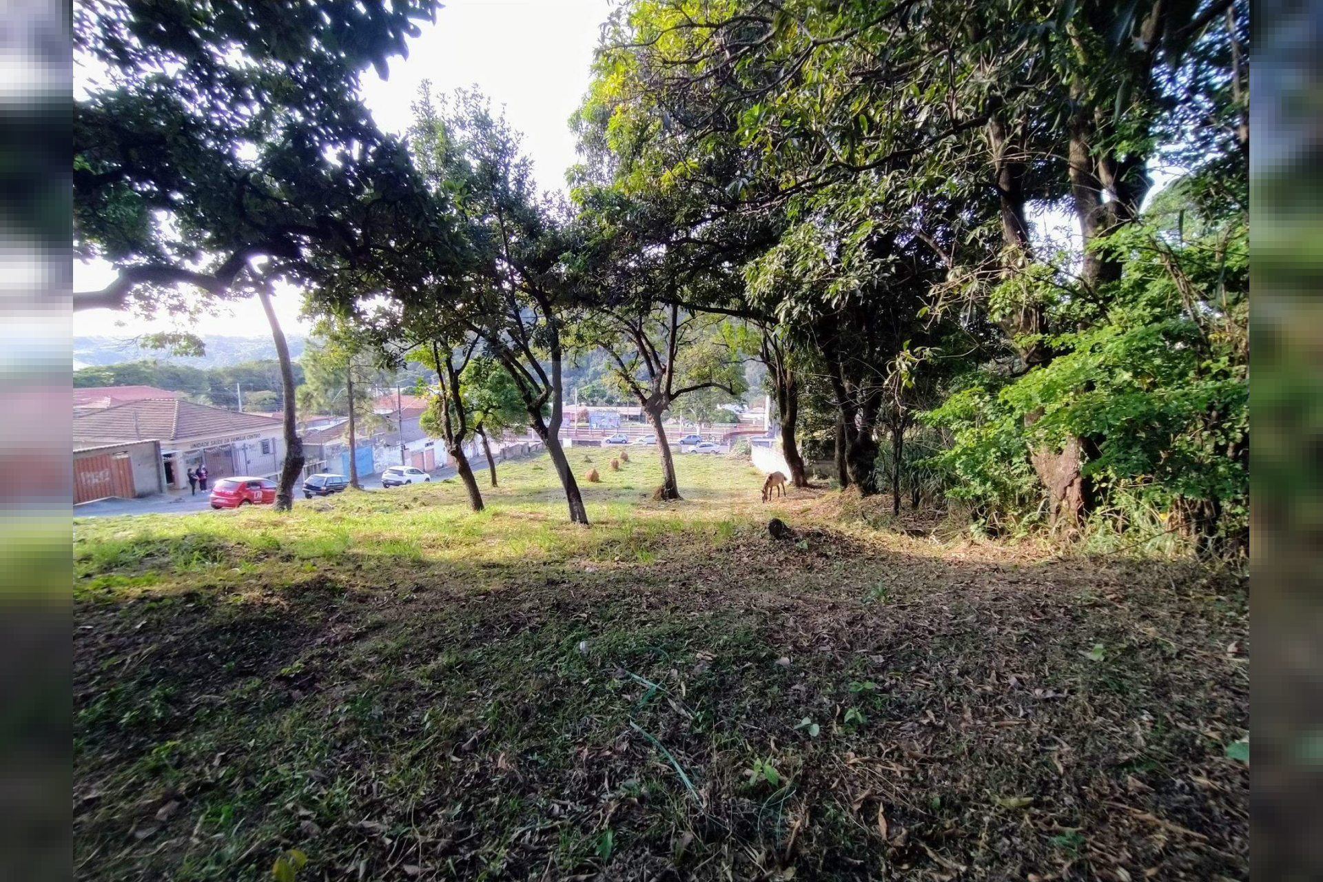Lote - Terreno para alugar, Centro, Ibirité - MG