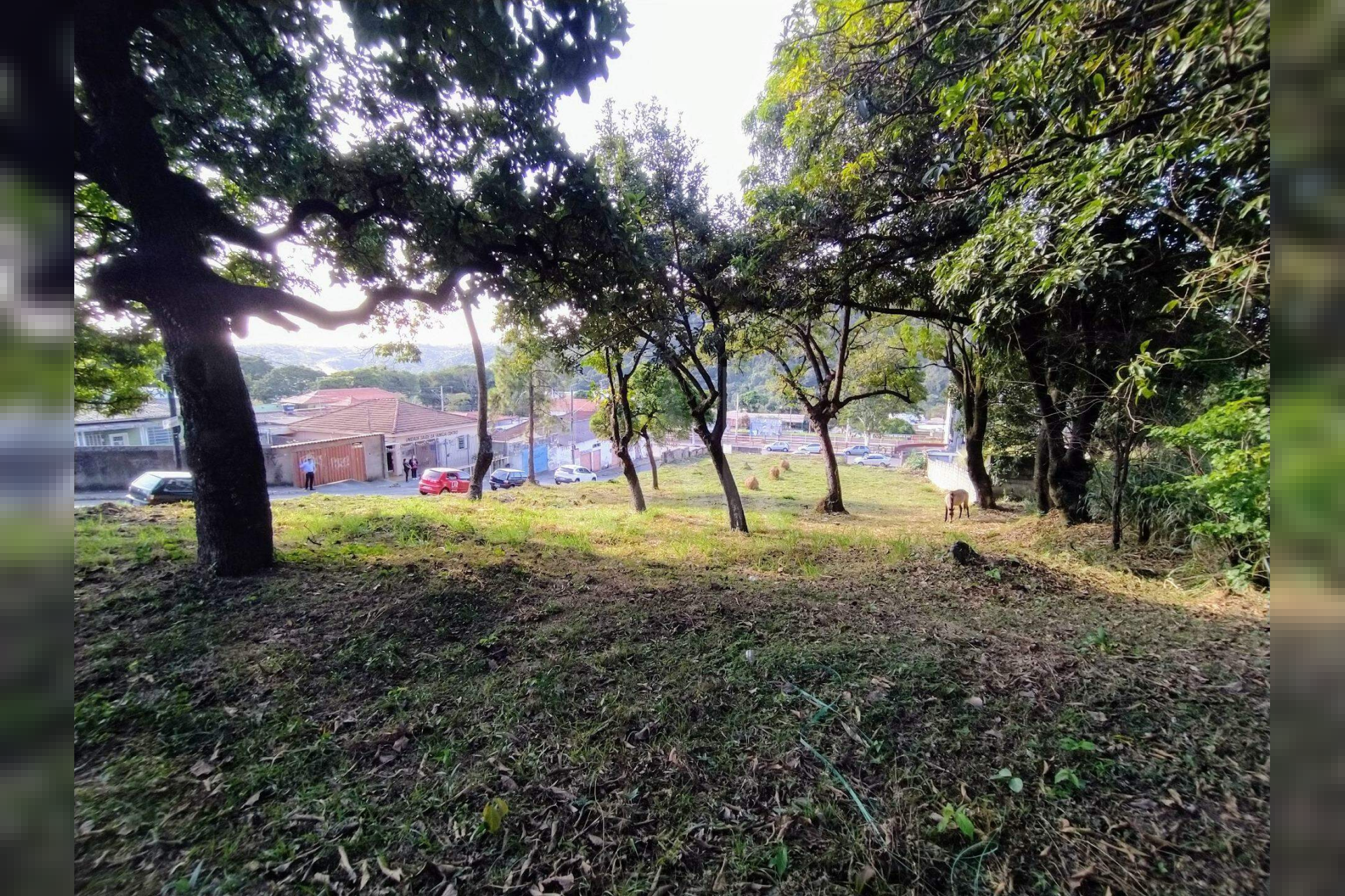 Lote - Terreno para alugar, Centro, Ibirité - MG