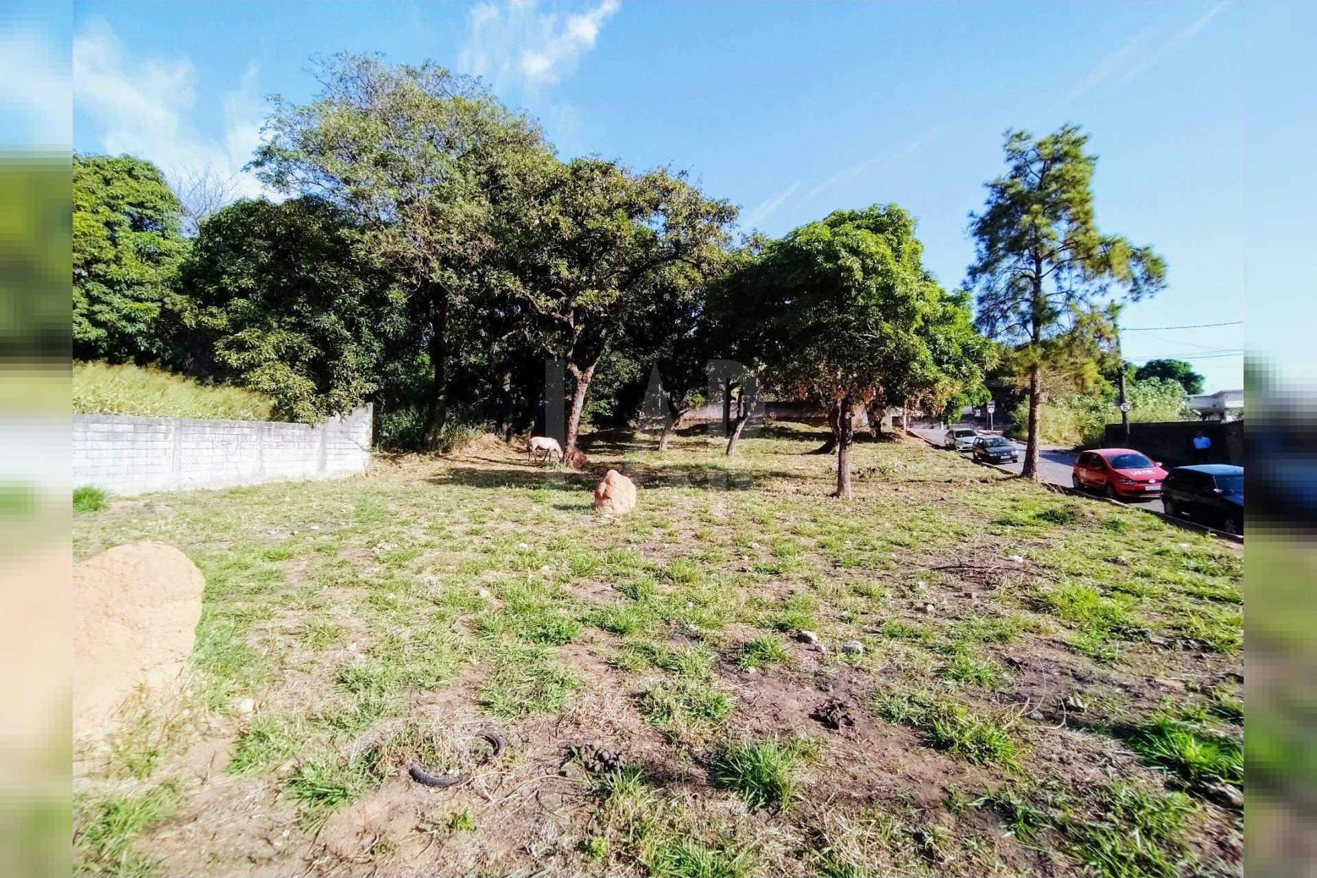 Lote - Terreno para alugar, Centro, Ibirité - MG