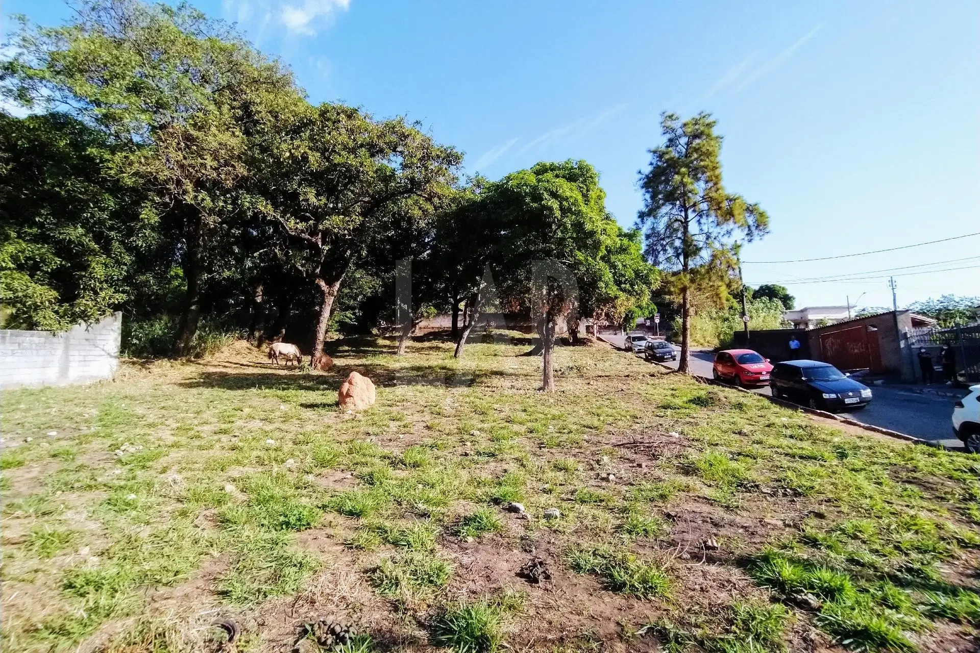Lote - Terreno para alugar, Centro, Ibirité - MG