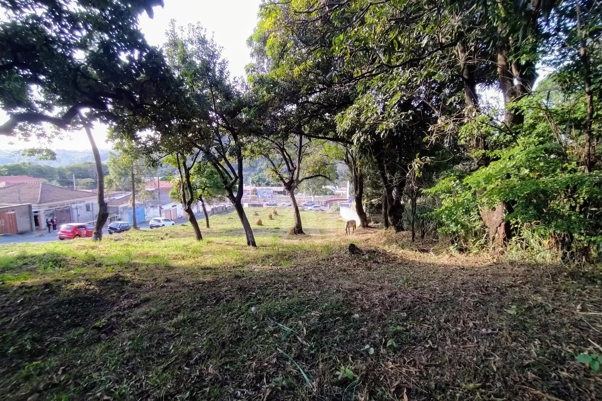 Lote - Terreno para alugar, Centro, Ibirité - MG