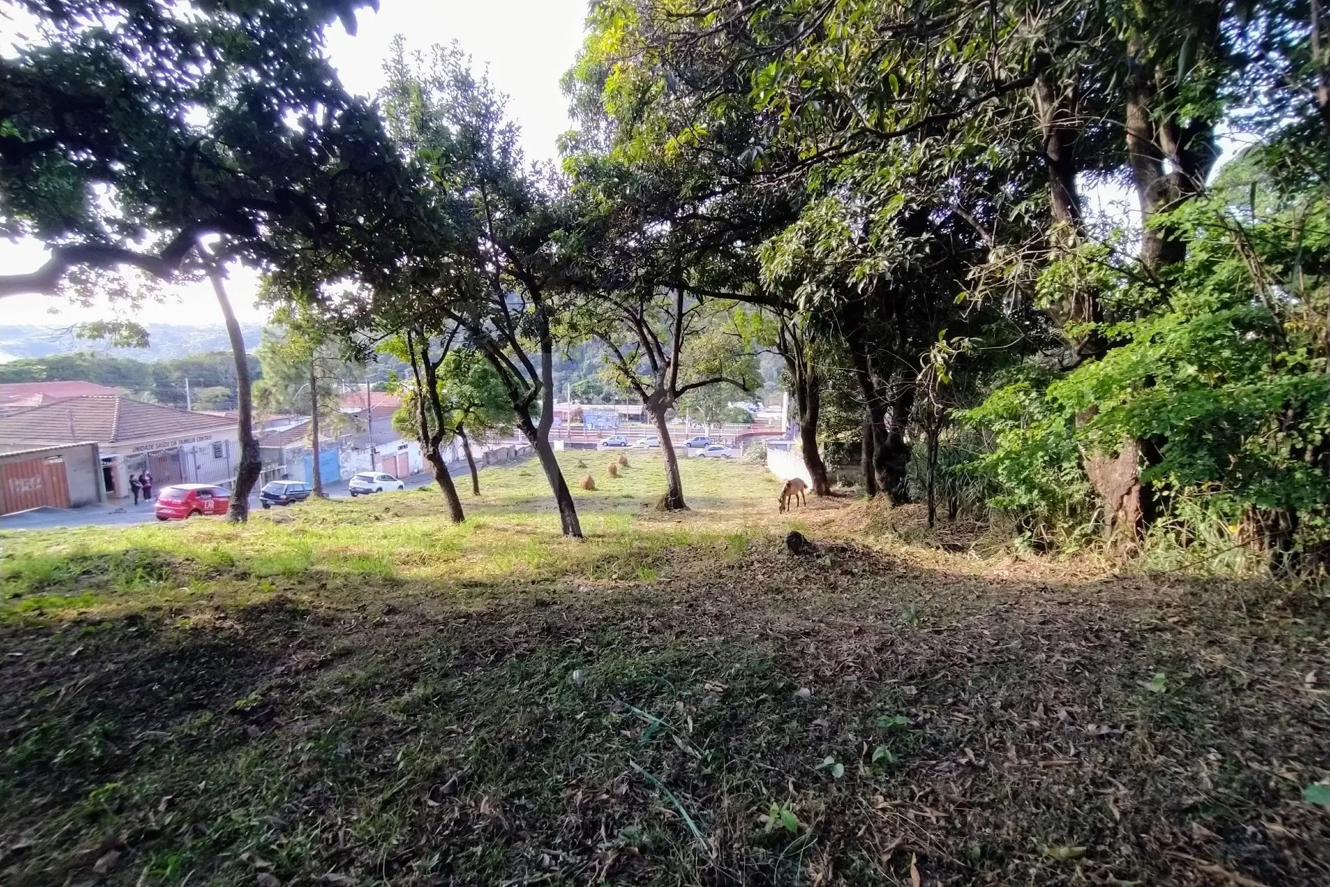 Lote - Terreno para alugar, Centro, Ibirité - MG
