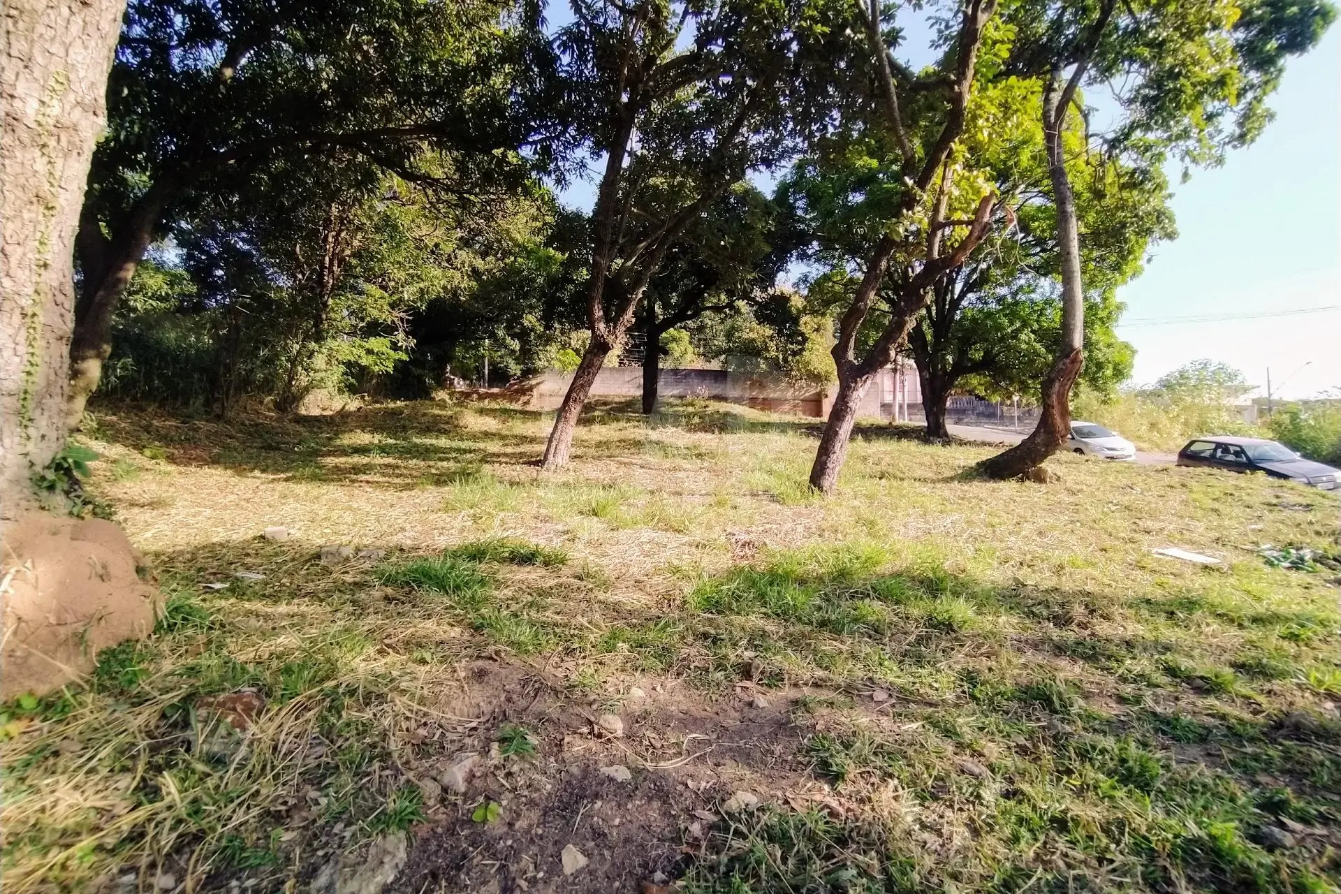Lote - Terreno para alugar, Centro, Ibirité - MG