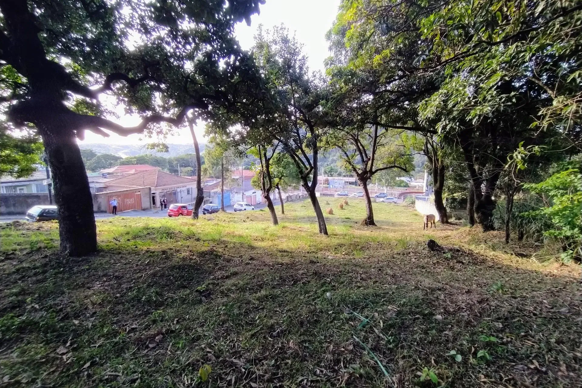 Lote - Terreno para alugar, Centro, Ibirité - MG