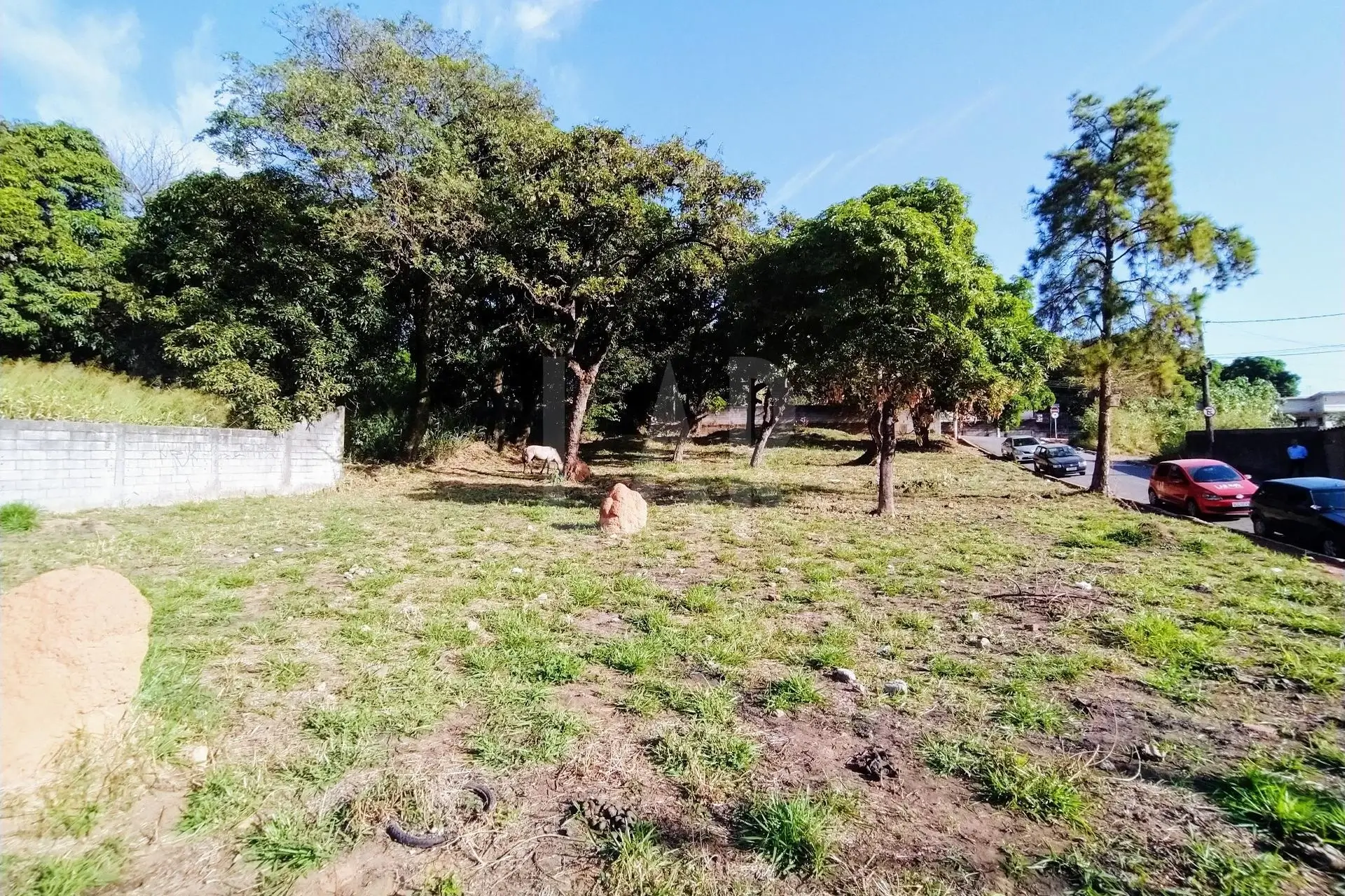 Lote - Terreno para alugar, Centro, Ibirité - MG