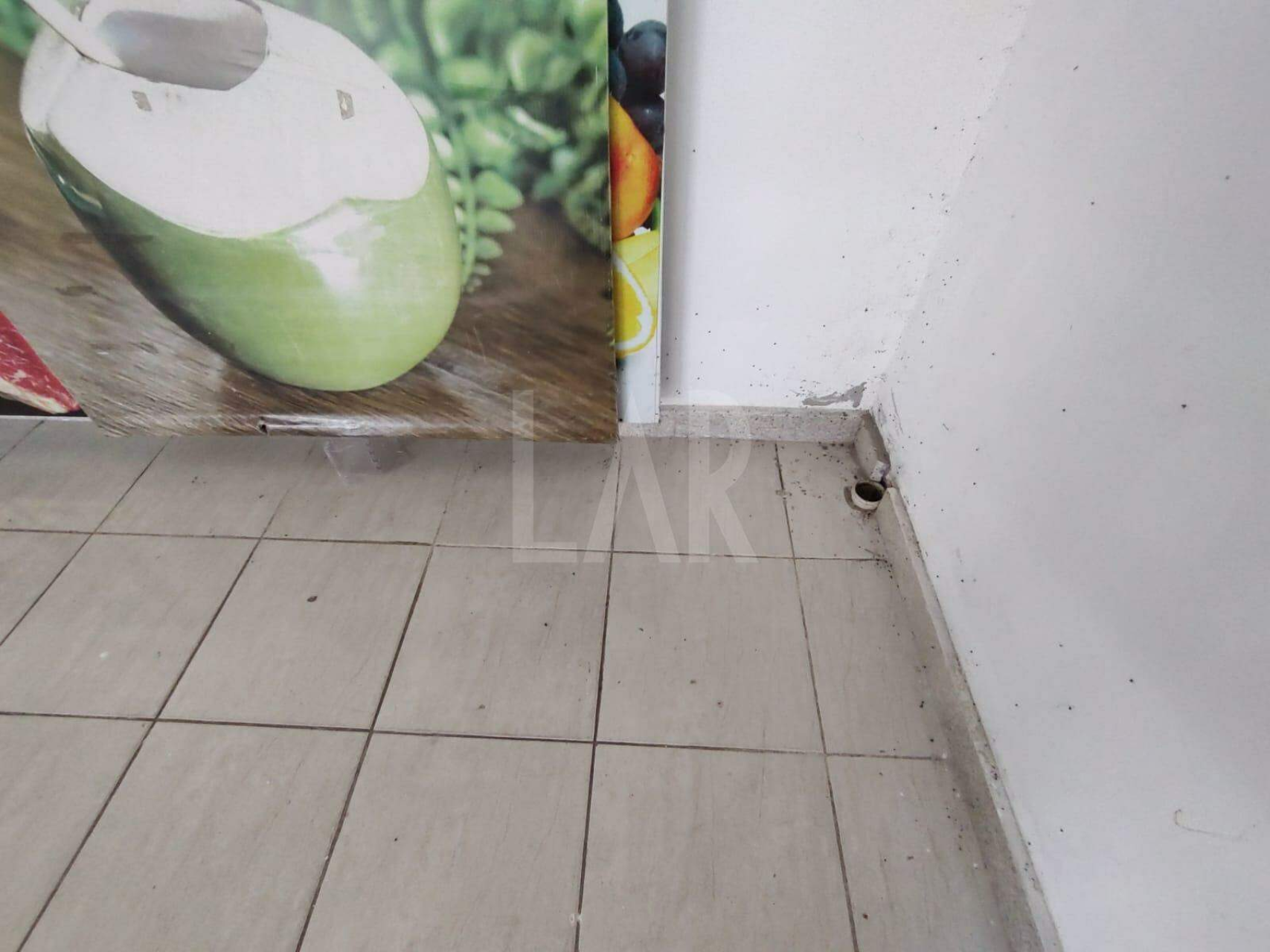 Loja para alugar, União, Belo Horizonte - MG