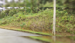 Lote em Condomínio à venda, Canto da Mata, Nova Lima - MG