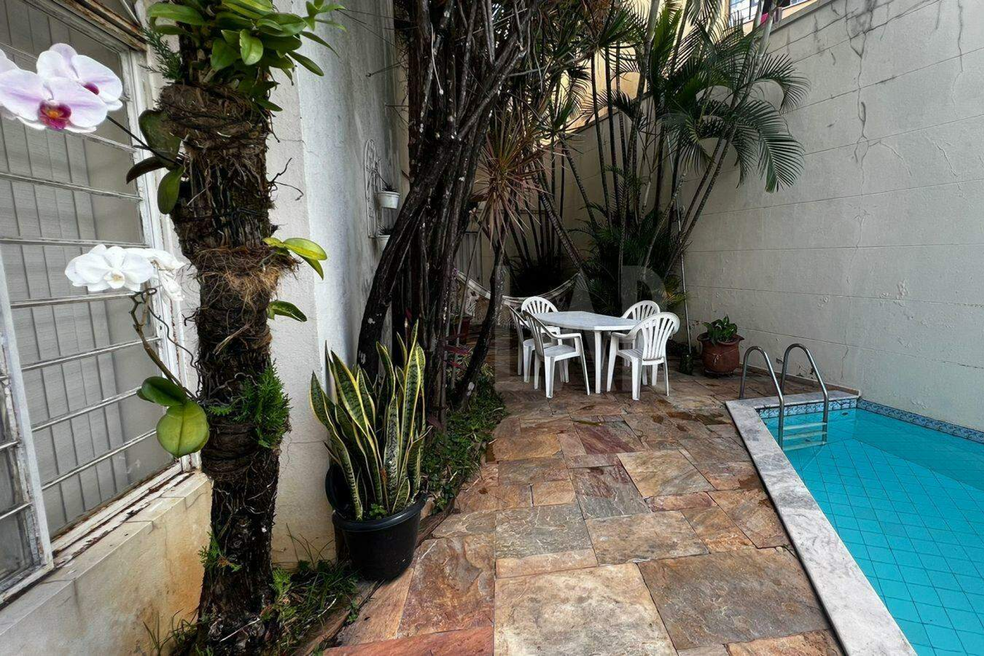 Casa de 9 quartos à venda, Santa Amélia, Belo Horizonte - MG