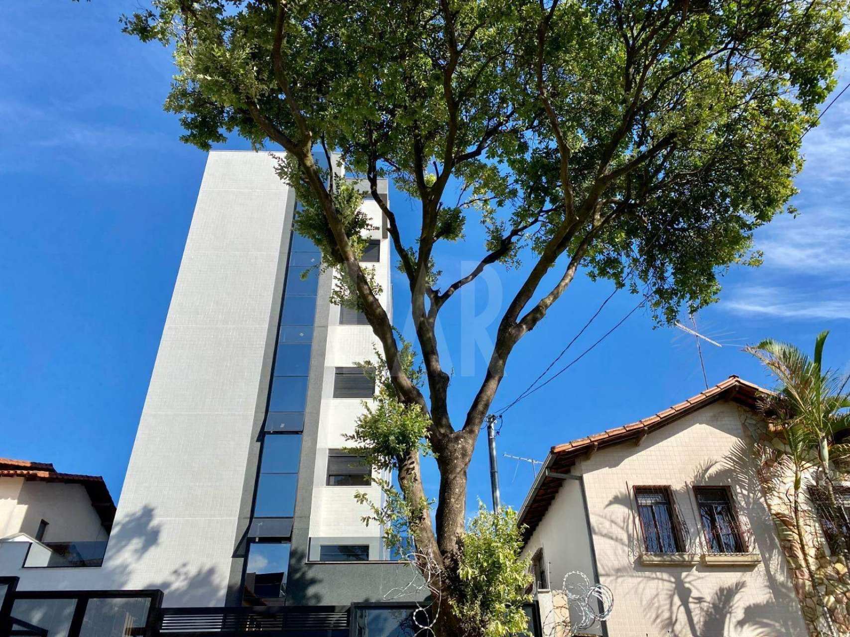 Navarro - Santa Rosa - Belo Horizonte, MG