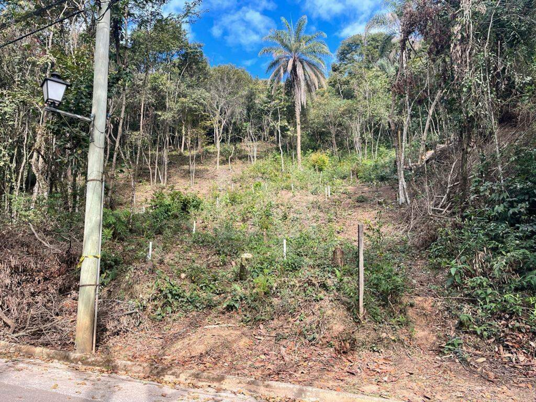 Lote em Condomínio à venda, Veredas das Geraes, Nova Lima - MG