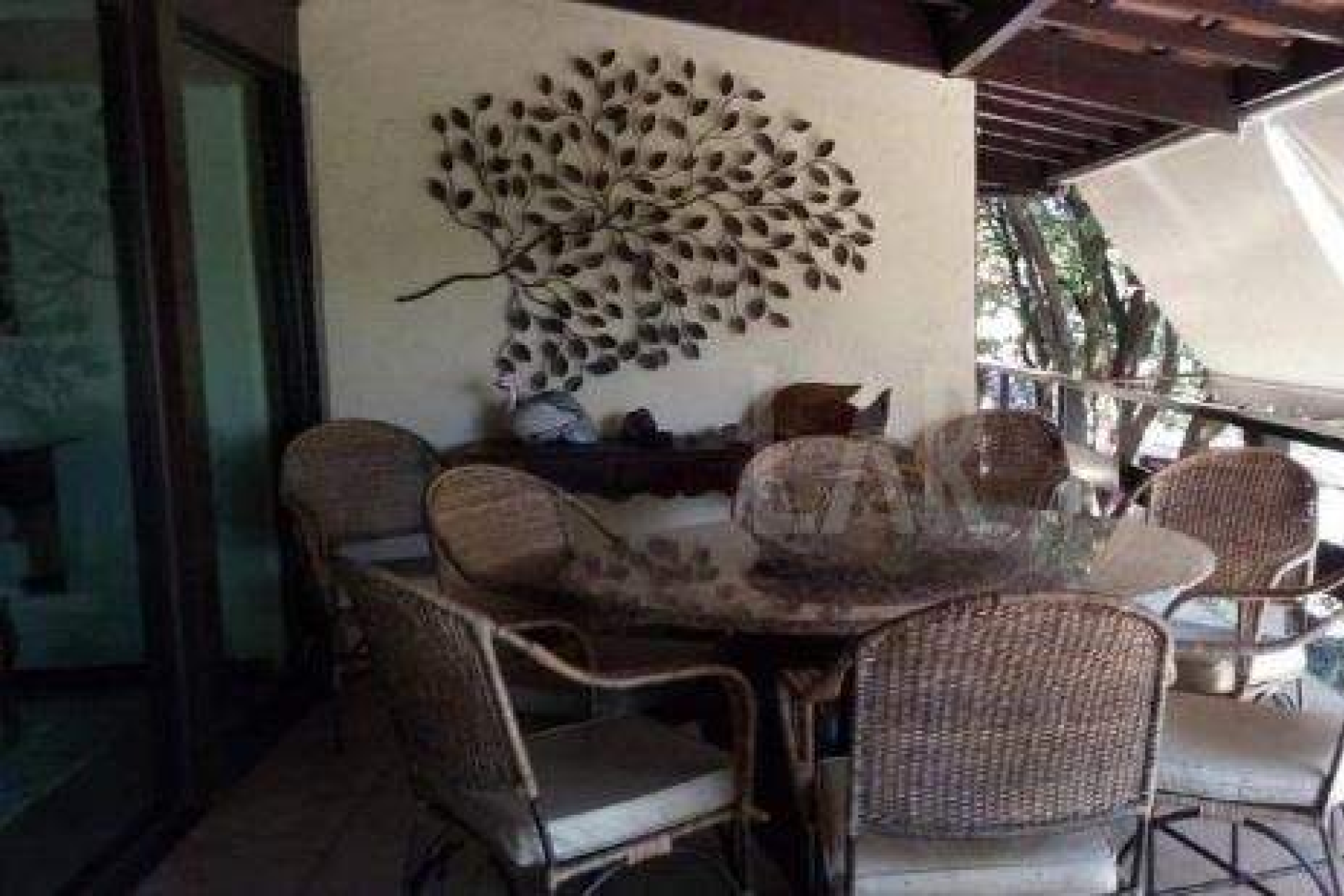 Casa de 6 quartos à venda, Jardim Atlântico, Belo Horizonte - MG