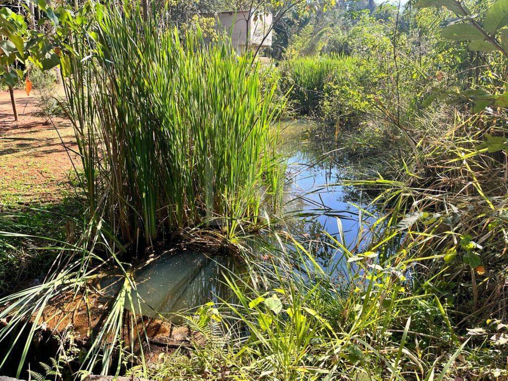 Lote - Terreno à venda, Santa Rita, Nova Lima - MG