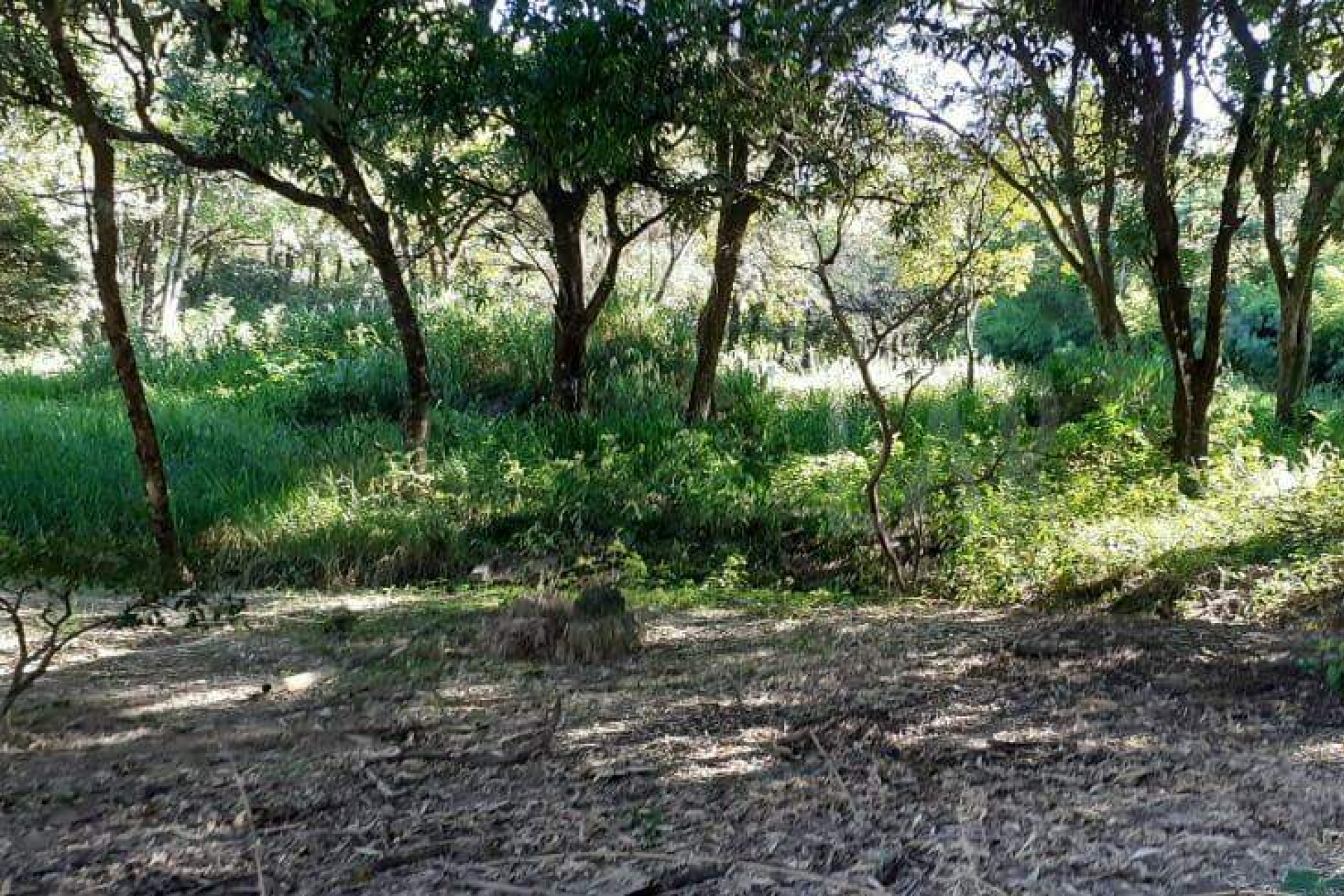 Lote - Terreno à venda, Nova Pampulha, Vespasiano - MG