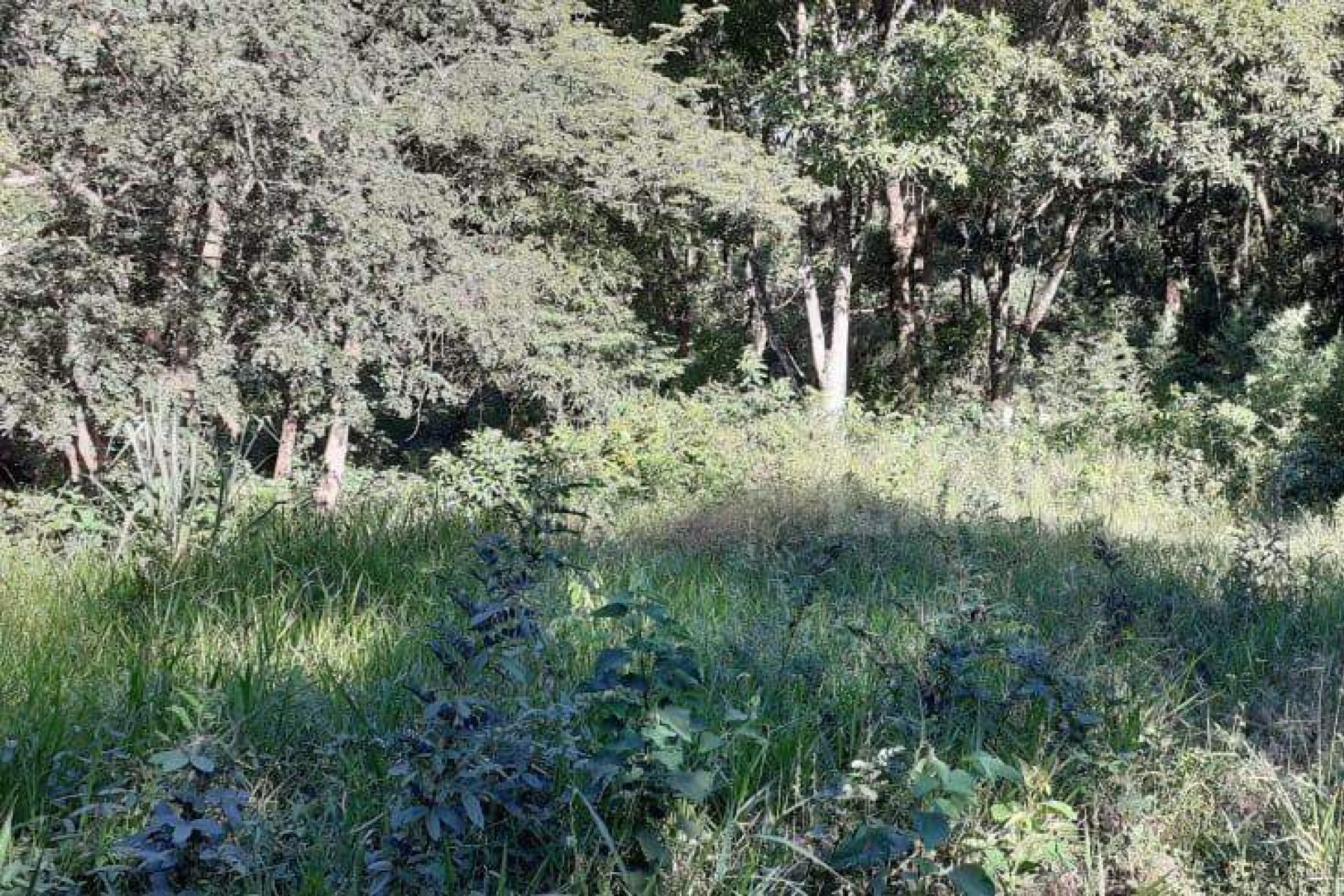 Lote - Terreno à venda, Nova Pampulha, Vespasiano - MG