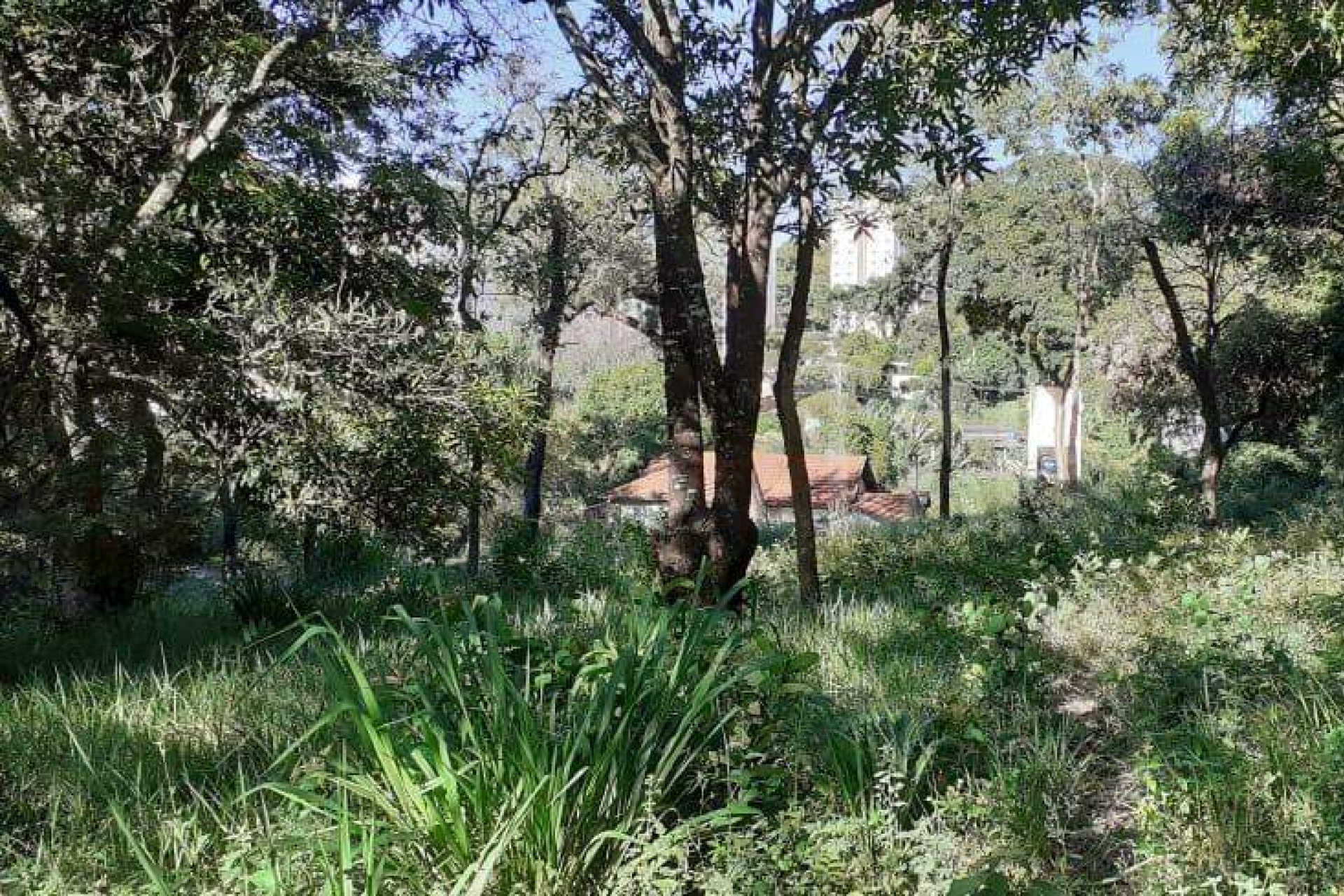 Lote - Terreno à venda, Nova Pampulha, Vespasiano - MG