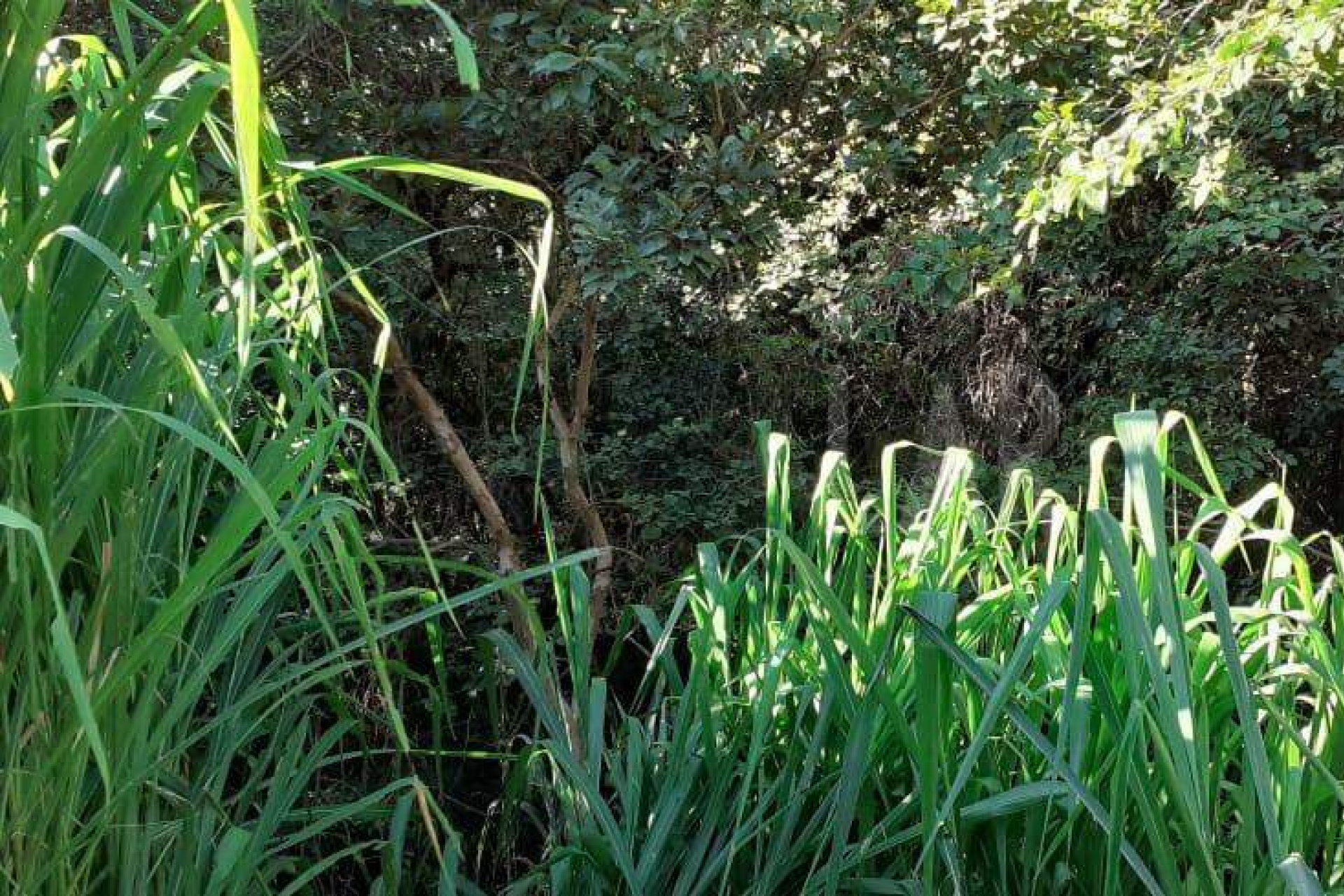 Lote - Terreno à venda, Nova Pampulha, Vespasiano - MG