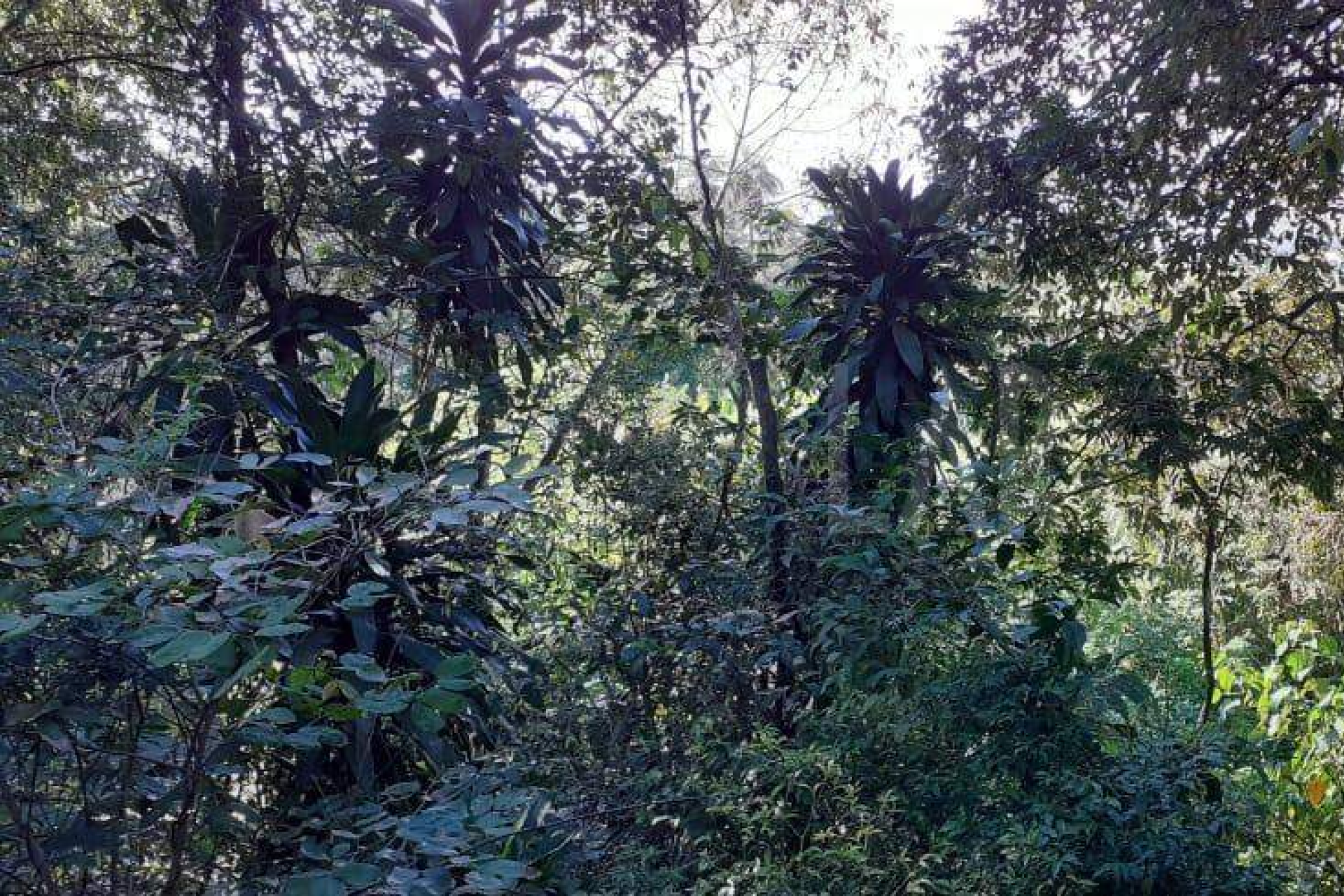 Lote - Terreno à venda, Nova Pampulha, Vespasiano - MG