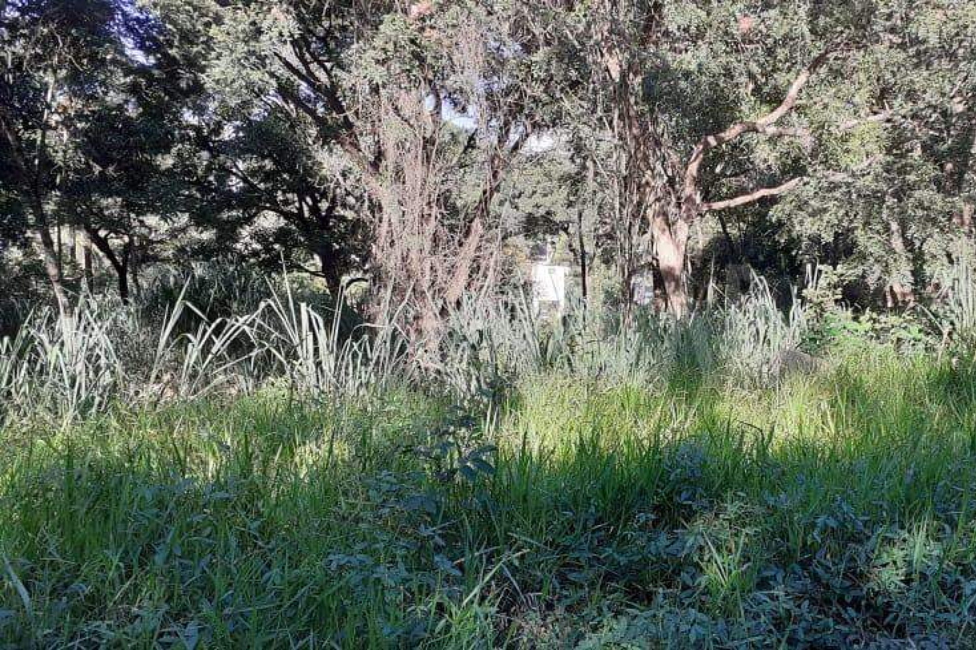 Lote - Terreno à venda, Nova Pampulha, Vespasiano - MG