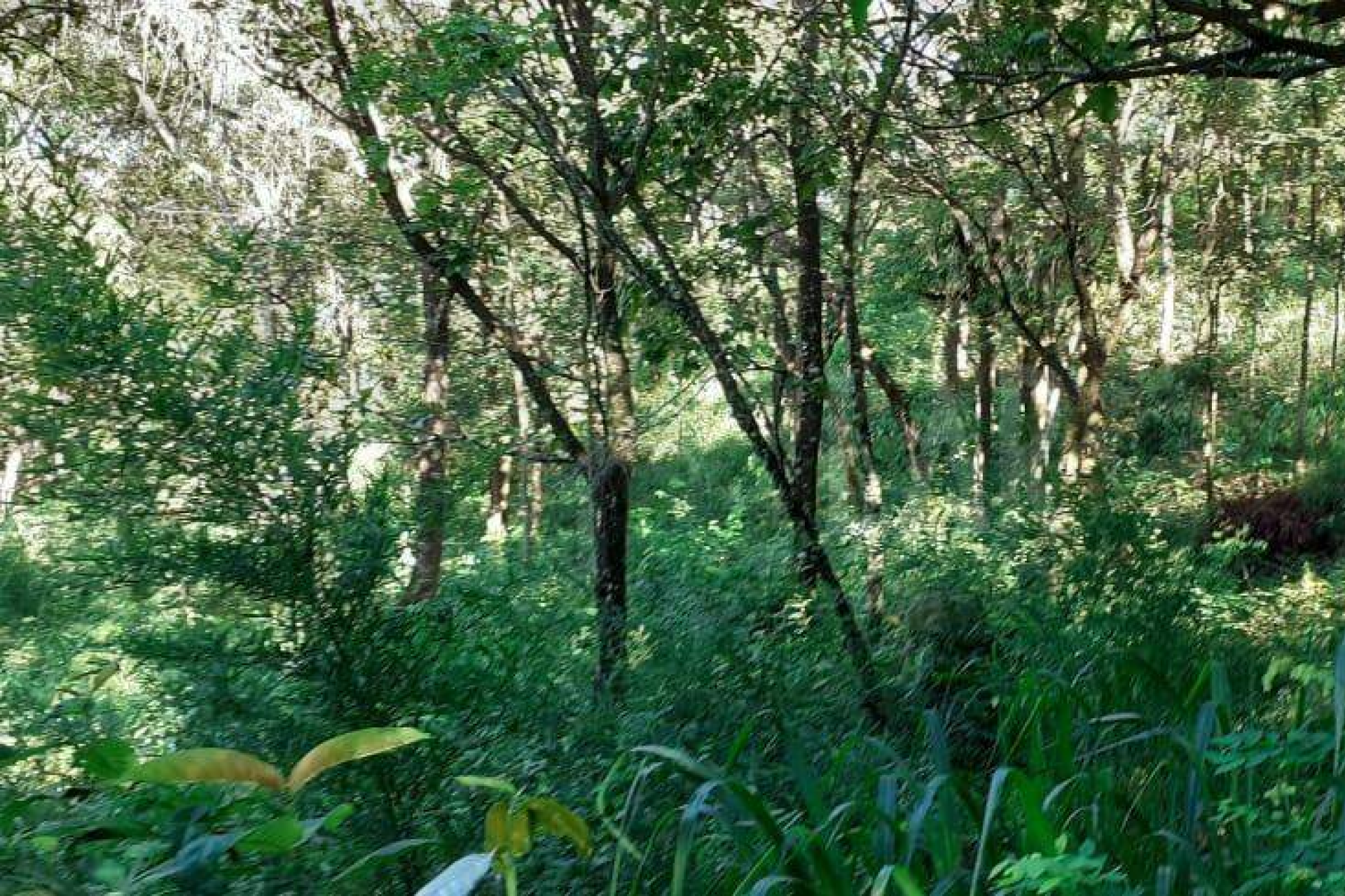 Lote - Terreno à venda, Nova Pampulha, Vespasiano - MG