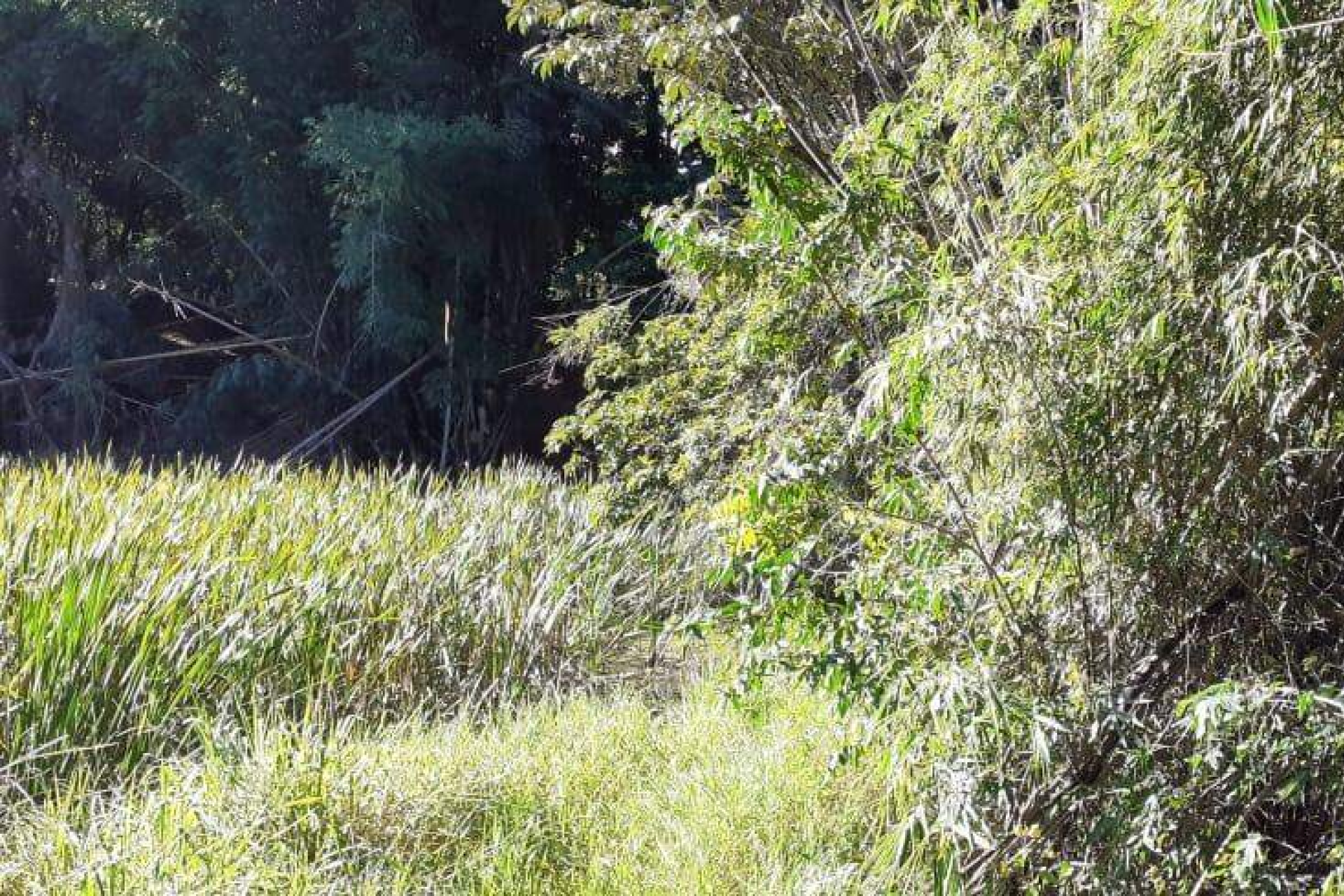 Lote - Terreno à venda, Nova Pampulha, Vespasiano - MG
