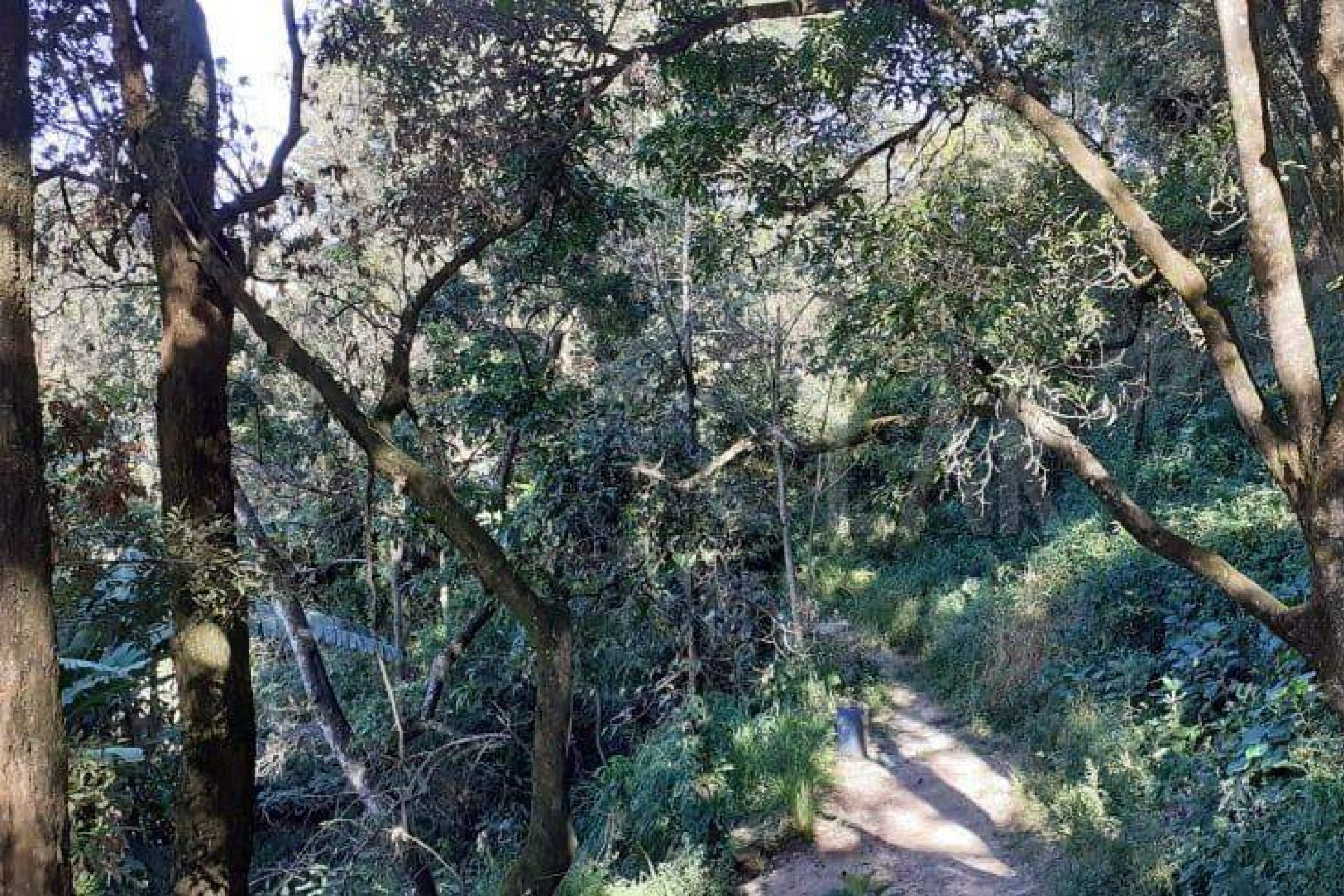 Lote - Terreno à venda, Nova Pampulha, Vespasiano - MG