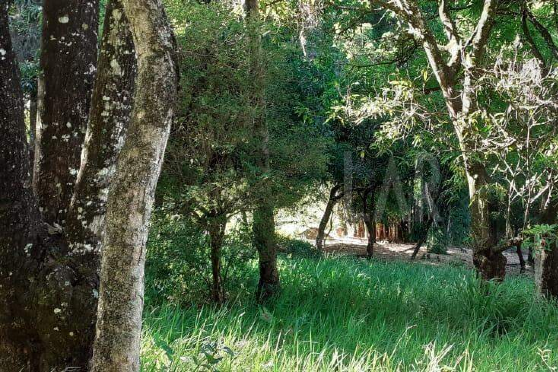 Lote - Terreno à venda, Nova Pampulha, Vespasiano - MG