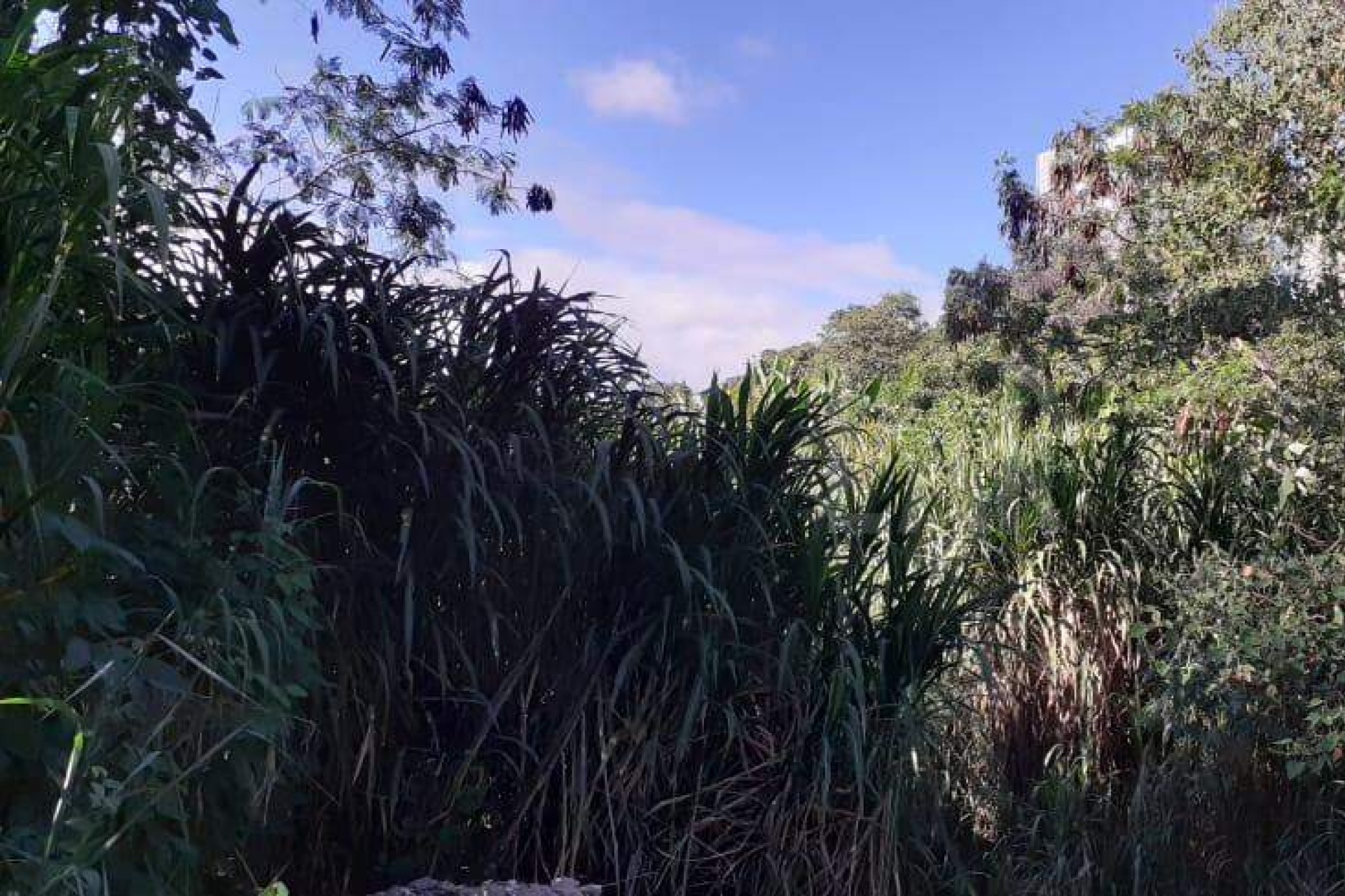 Lote - Terreno à venda, Nova Pampulha, Vespasiano - MG