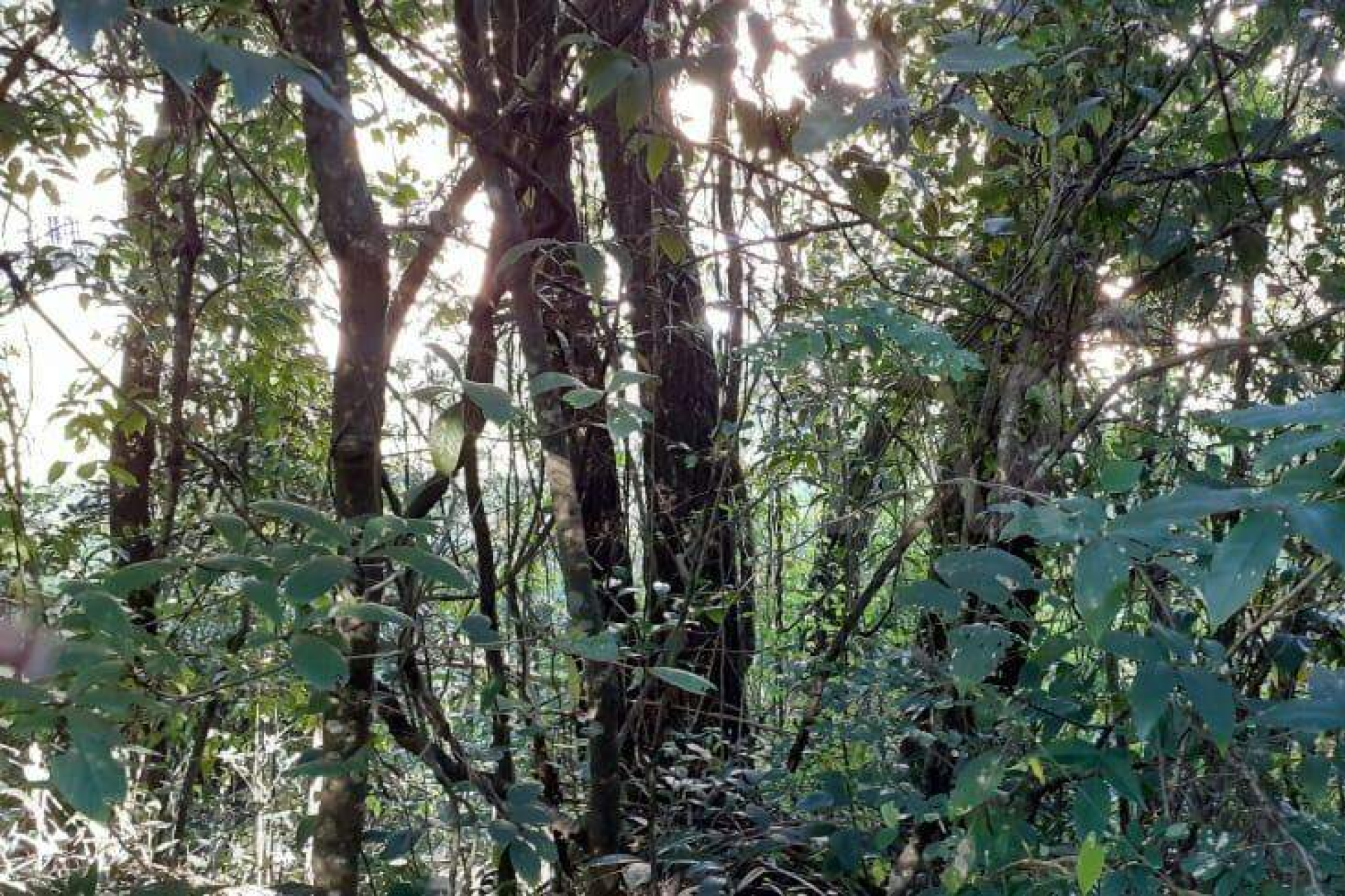 Lote - Terreno à venda, Nova Pampulha, Vespasiano - MG